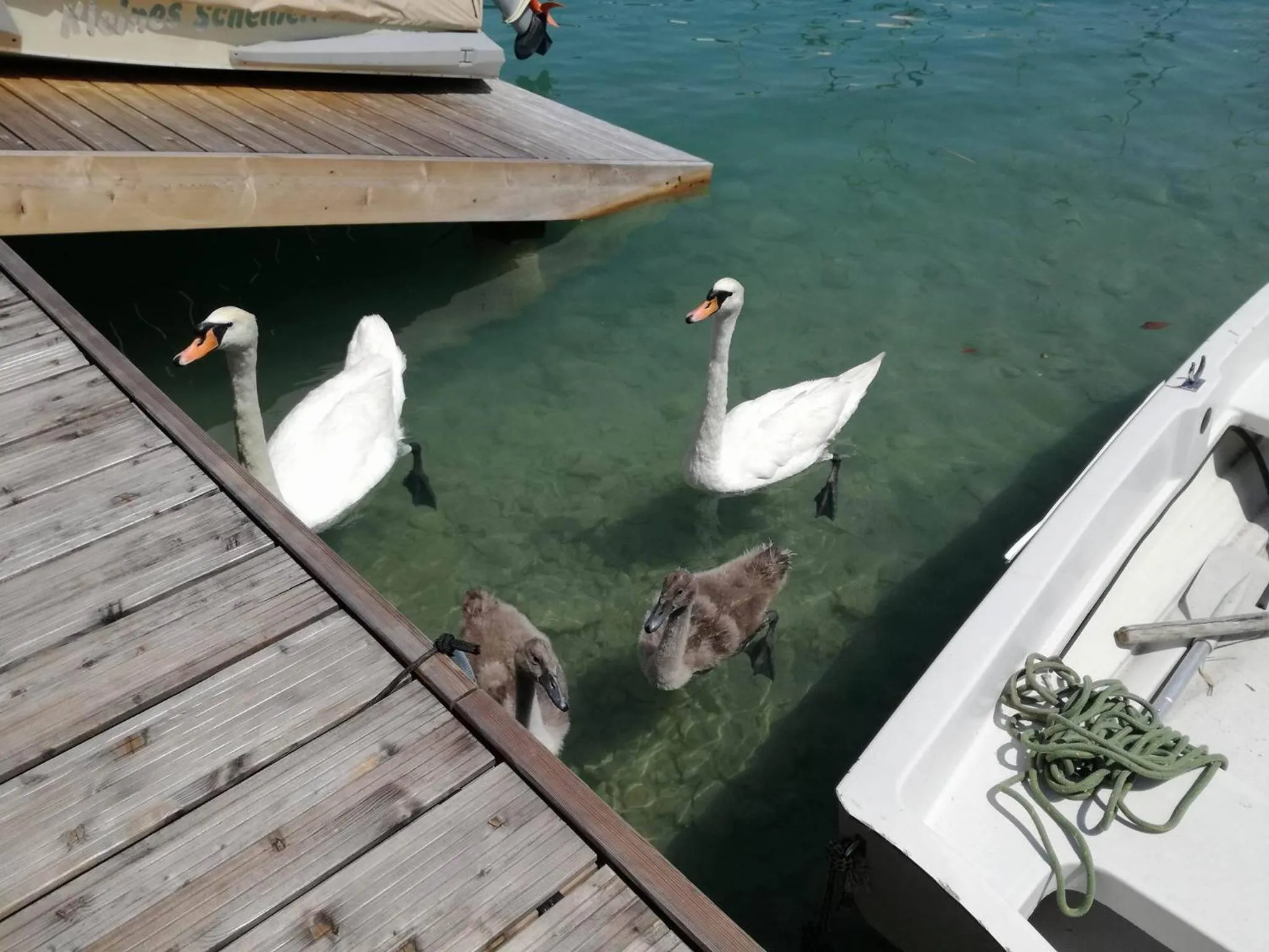 Tennis & Yacht Hotel Velden