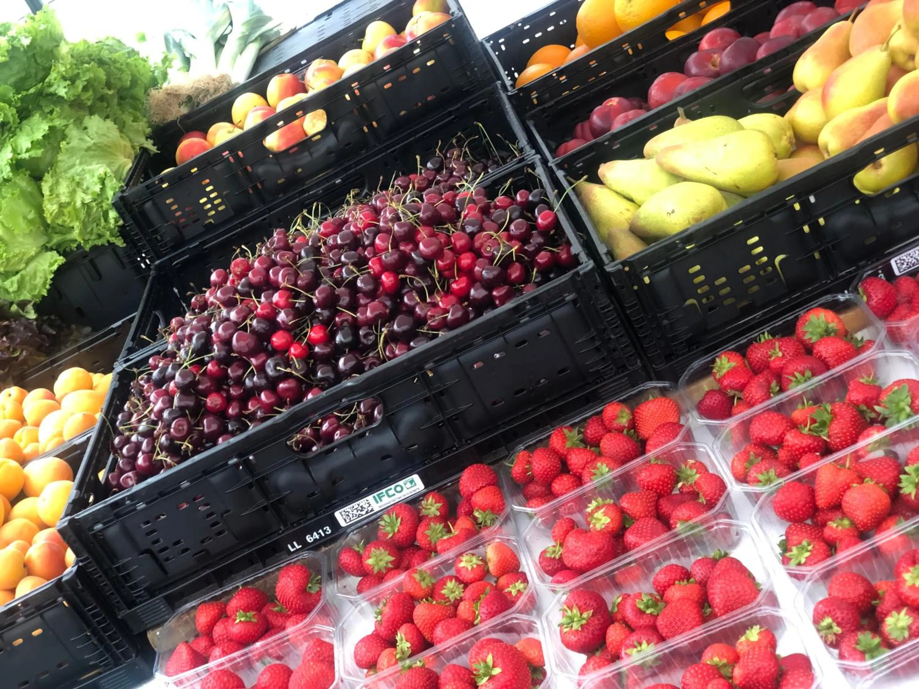 Food and drinks in Tennis & Yacht Hotel Velden