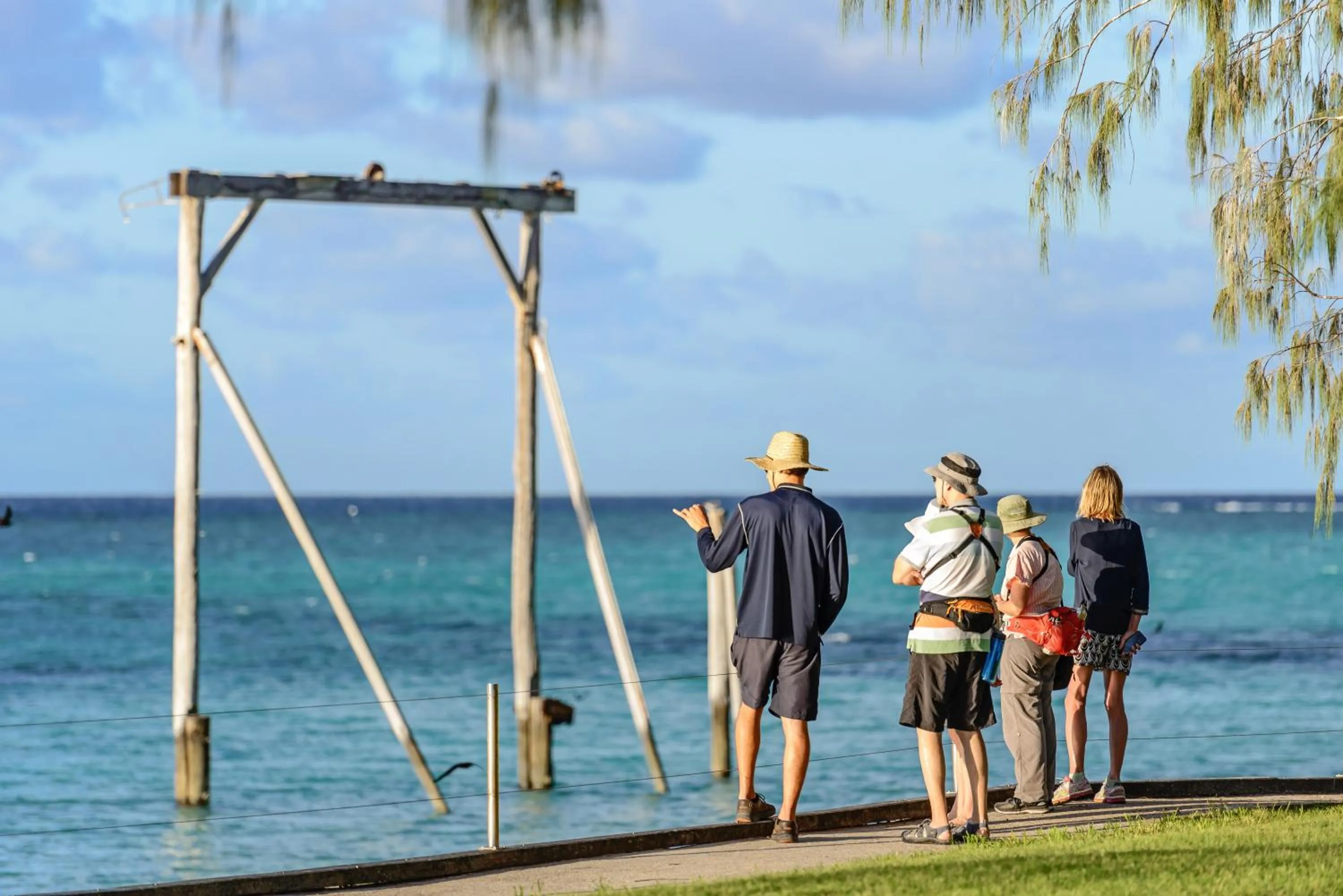 Activities in Heron Island