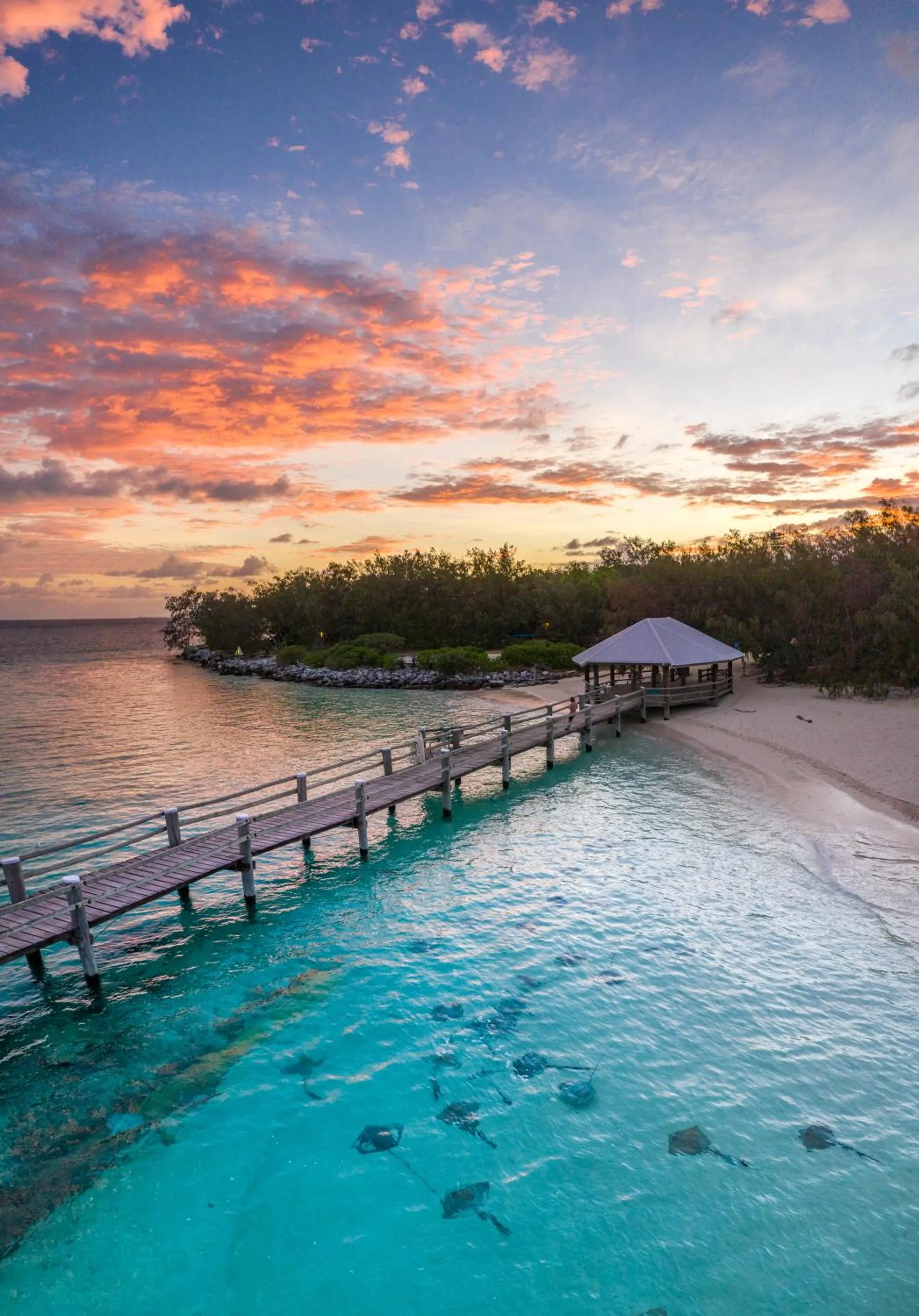 Natural landscape in Heron Island