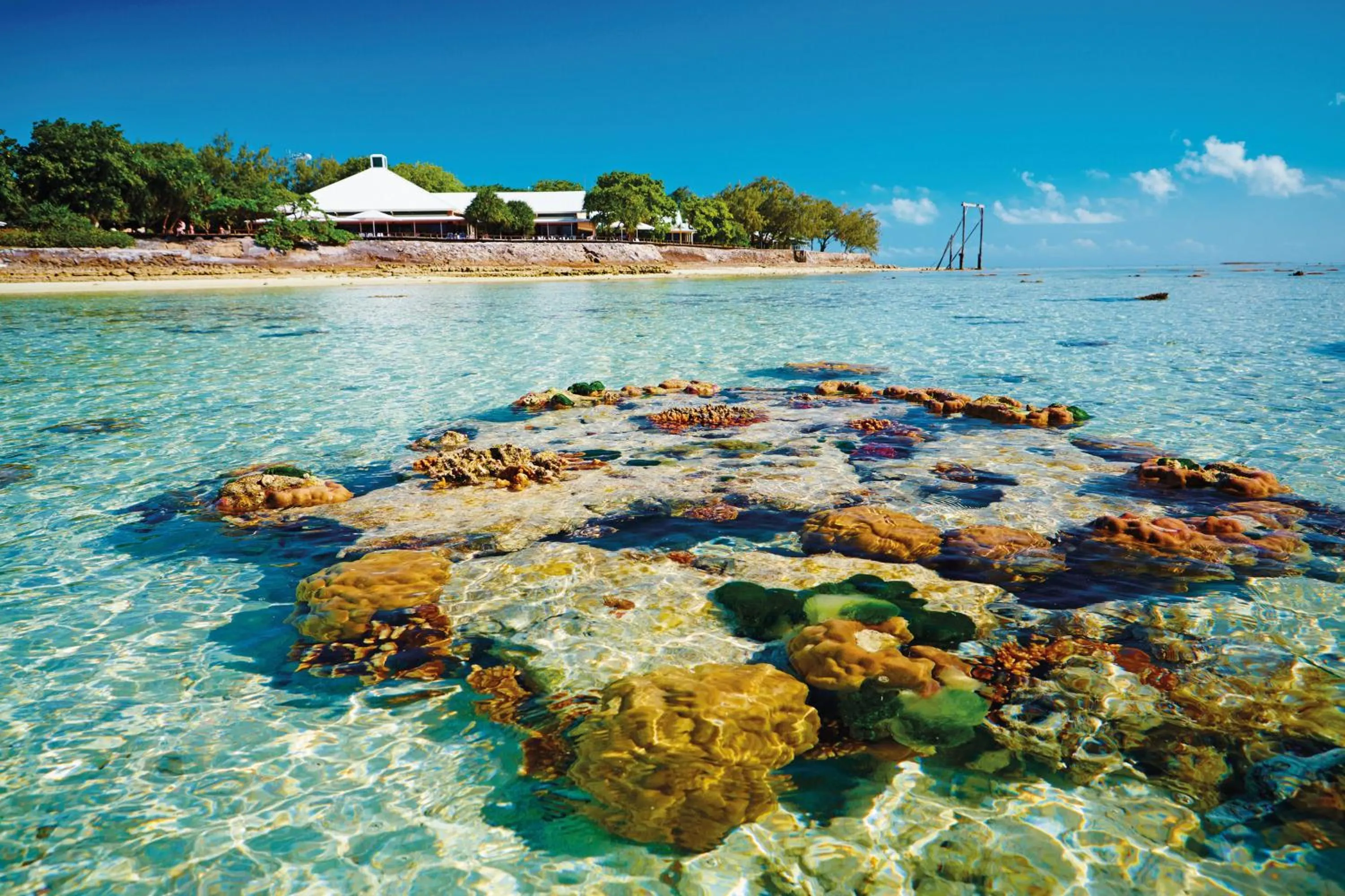 Natural landscape in Heron Island