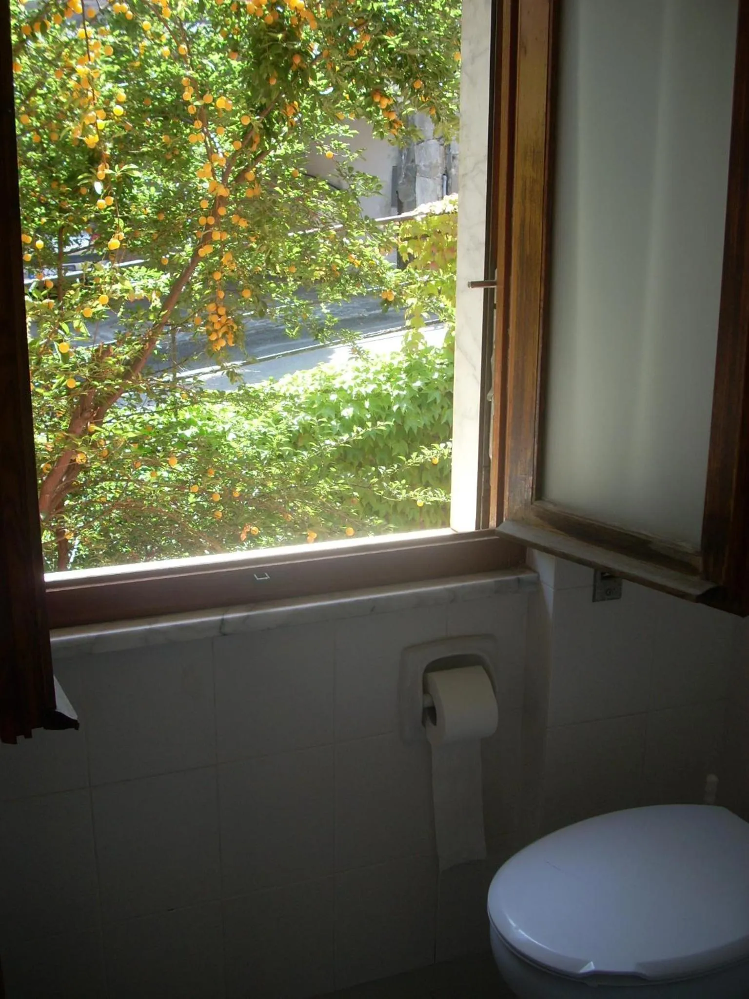 Day in Hotel Corallo