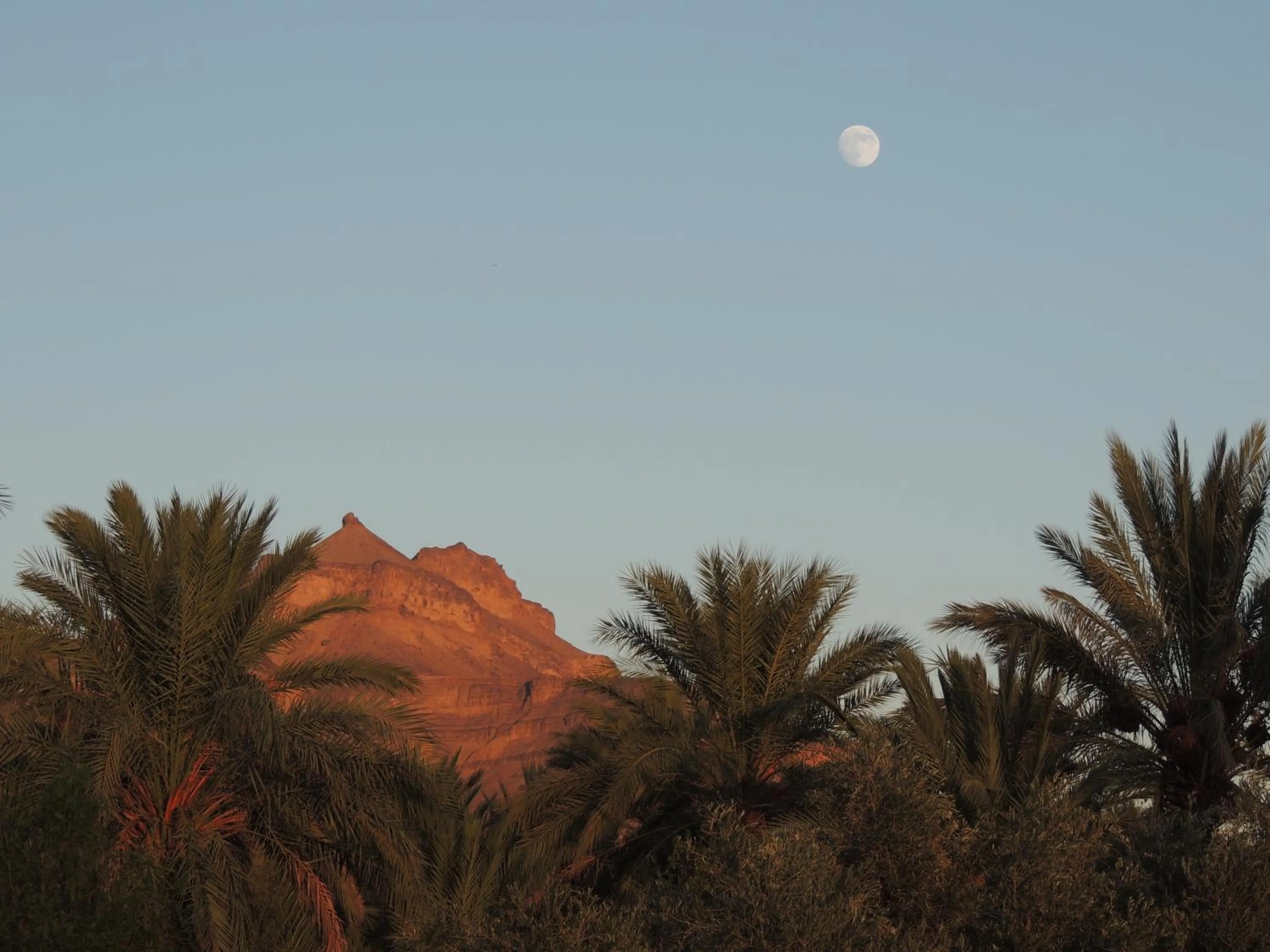 Off site in Dar Qamar