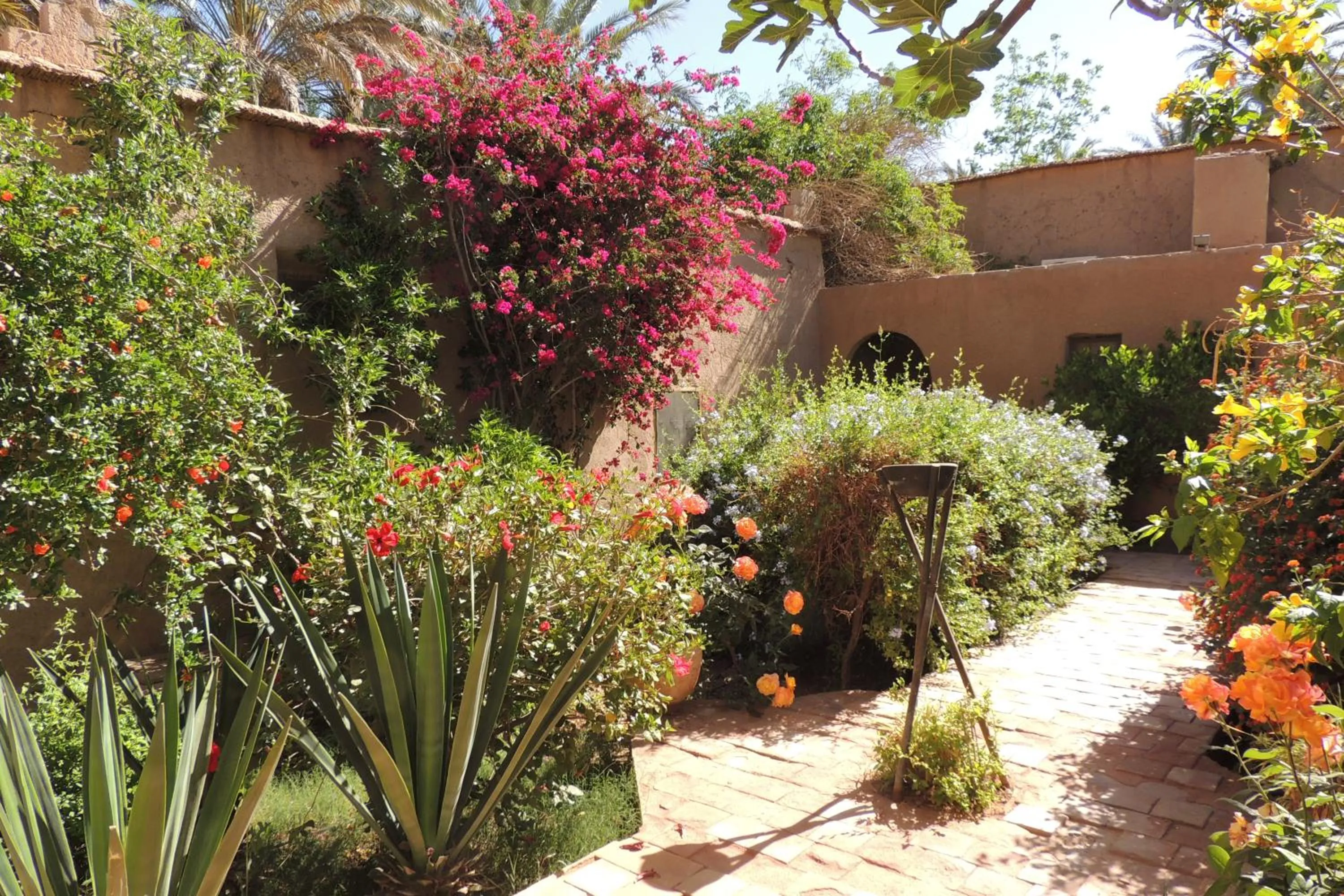Garden in Dar Qamar