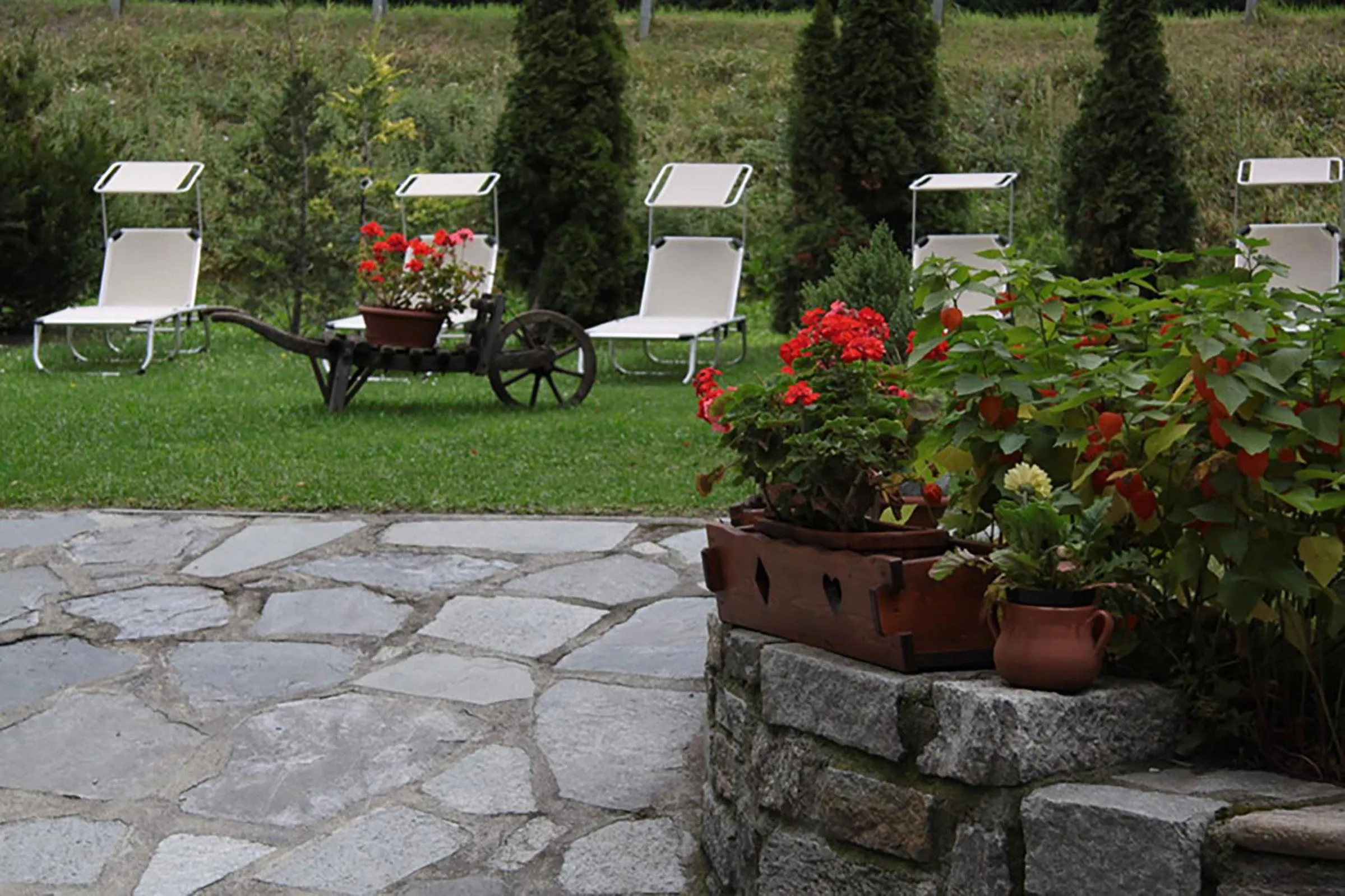 Garden in Hotel Dei Camosci