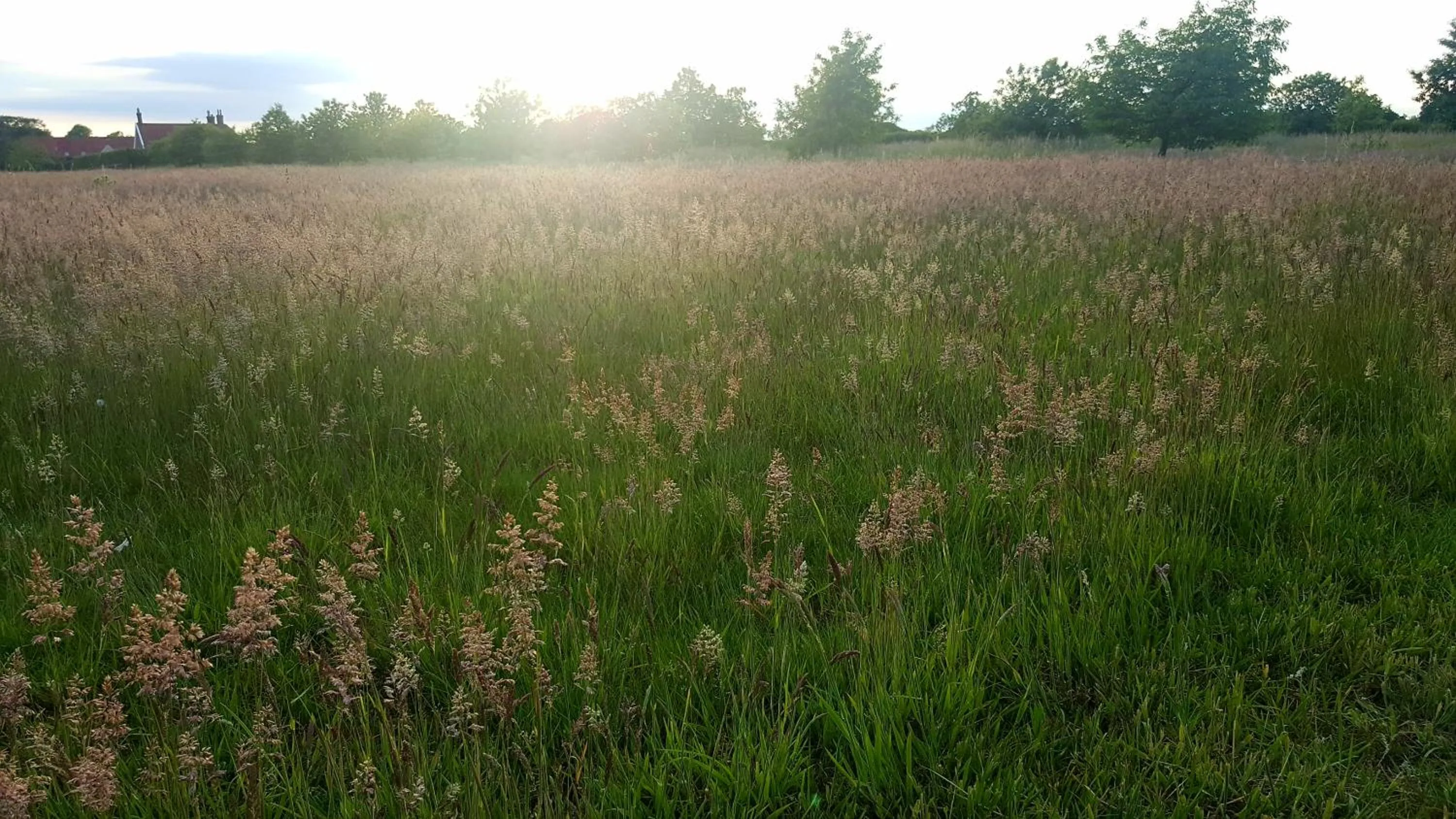 Garden in Dairy Cottage Luxury B&B