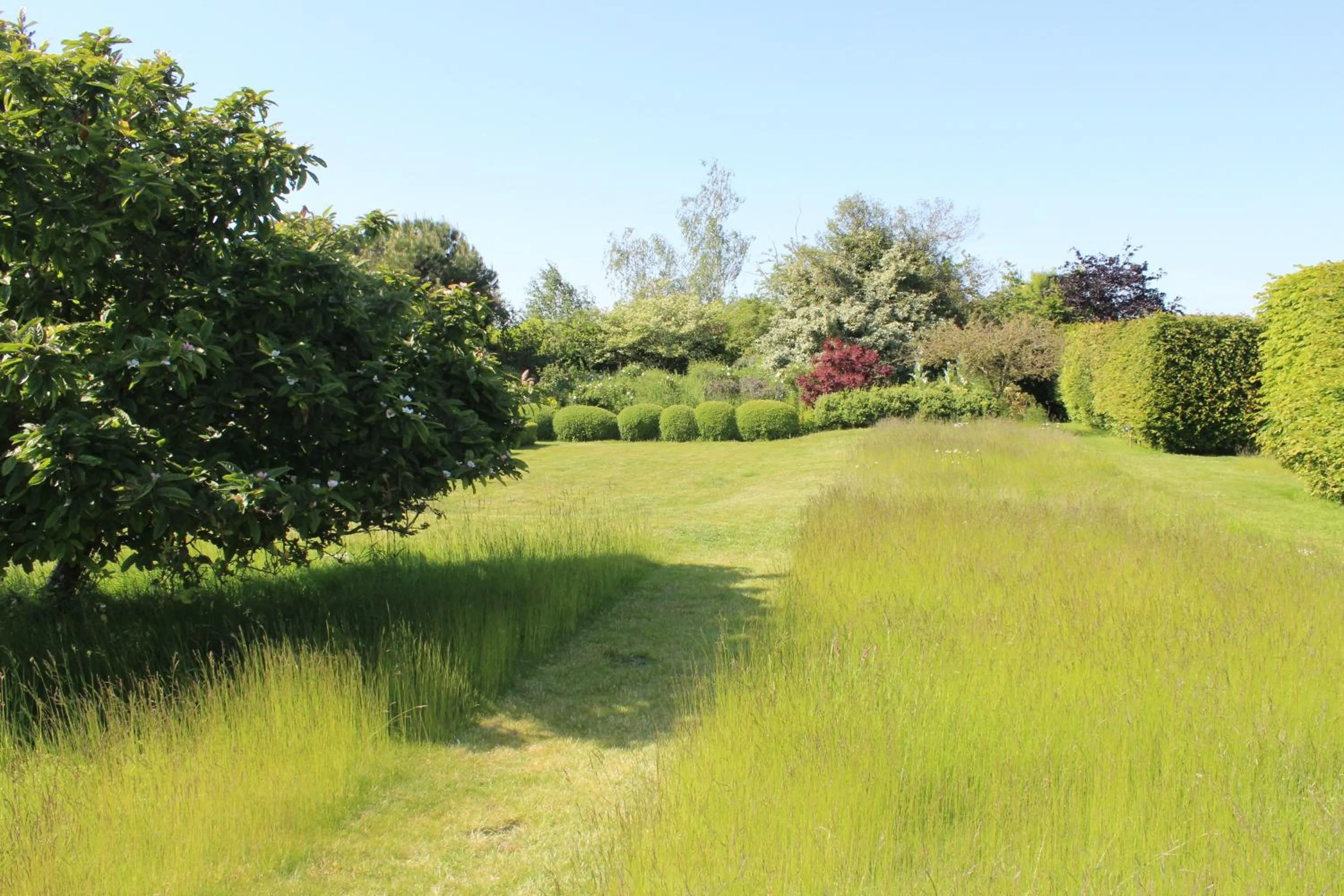 Natural landscape in Dairy Cottage Luxury B&B