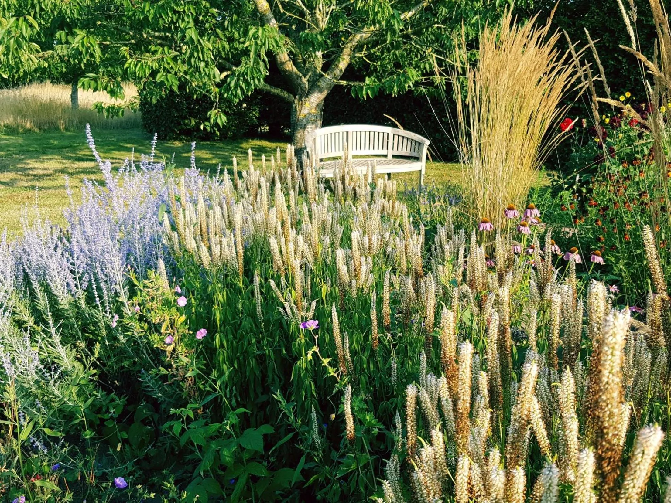 Garden in Dairy Cottage Luxury B&B