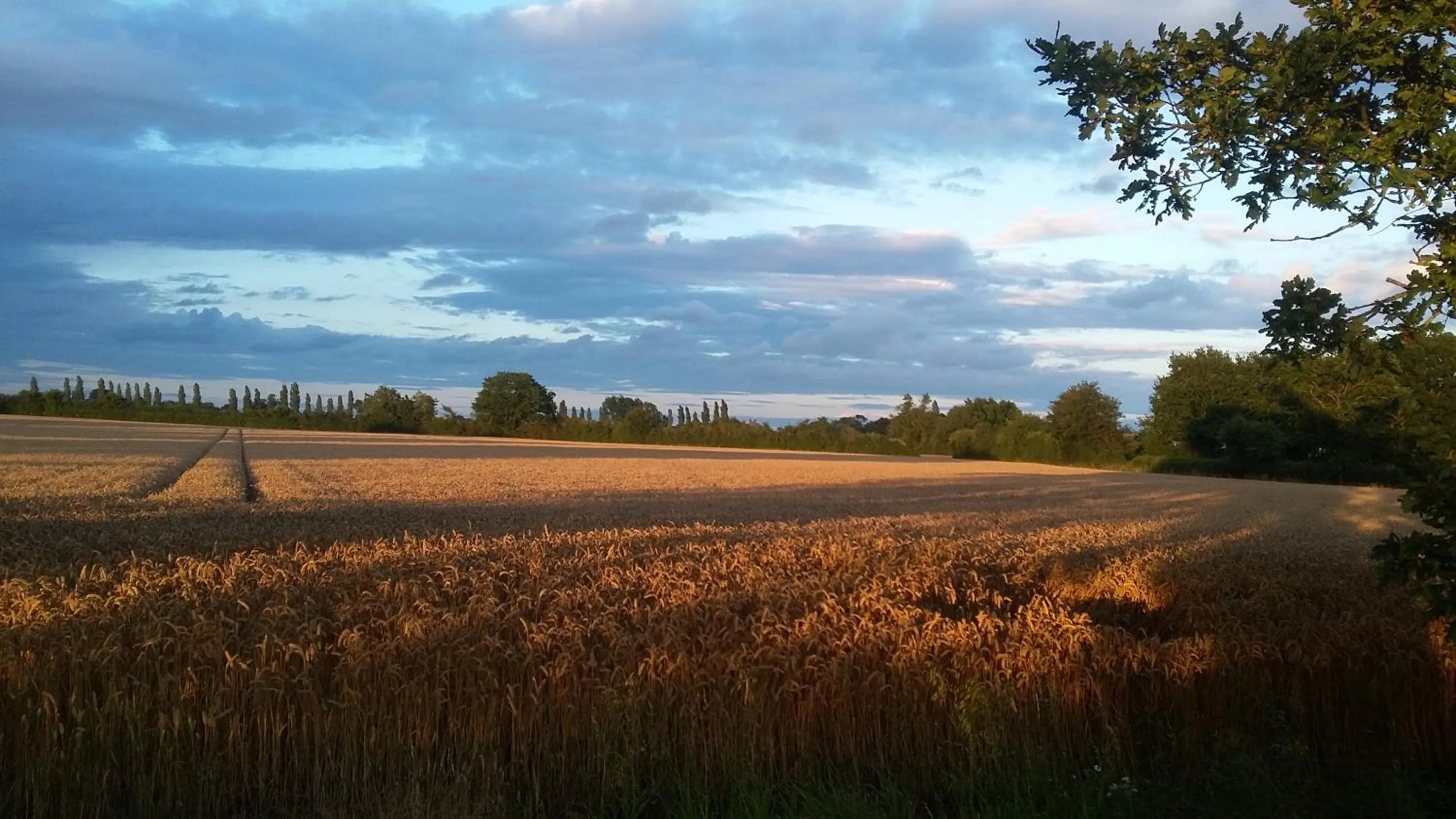 Natural landscape in Dairy Cottage Luxury B&B