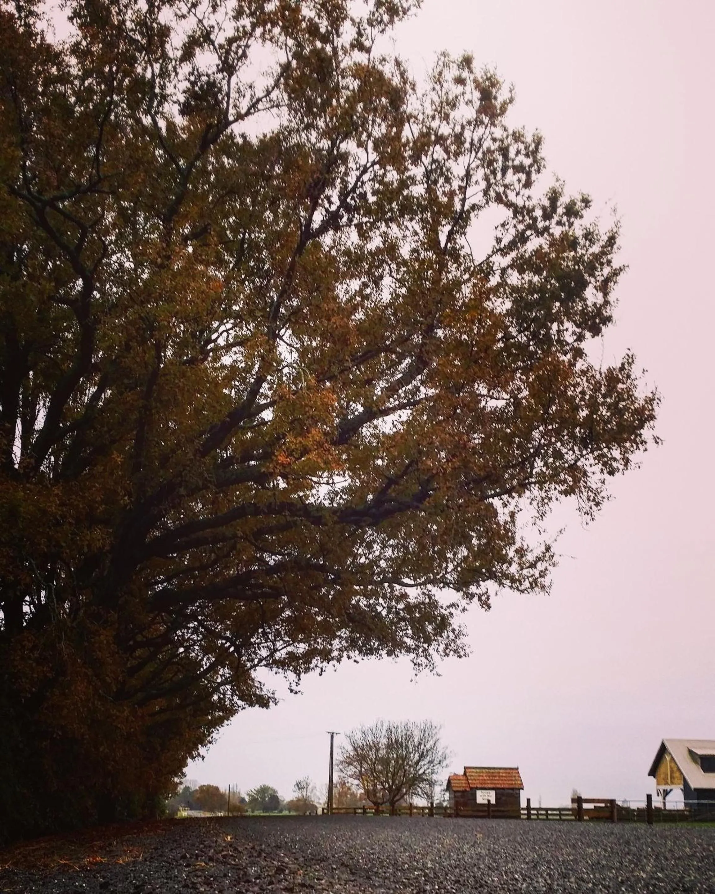 Garden in housewithnonails