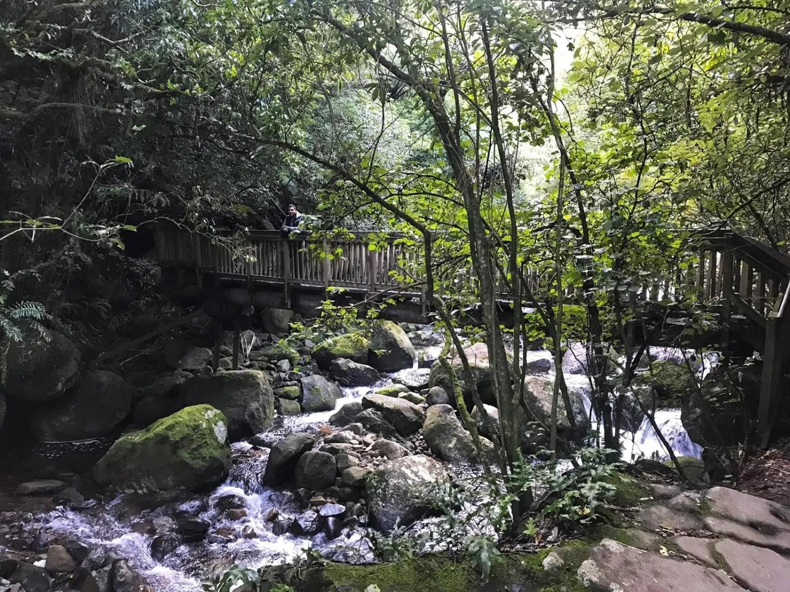 Nearby landmark in housewithnonails