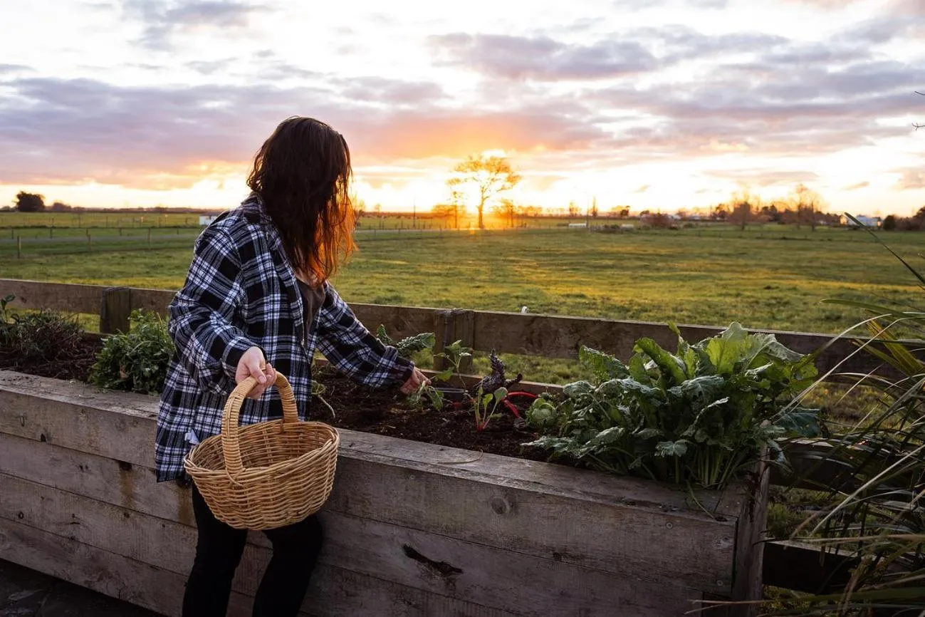 Spring in housewithnonails