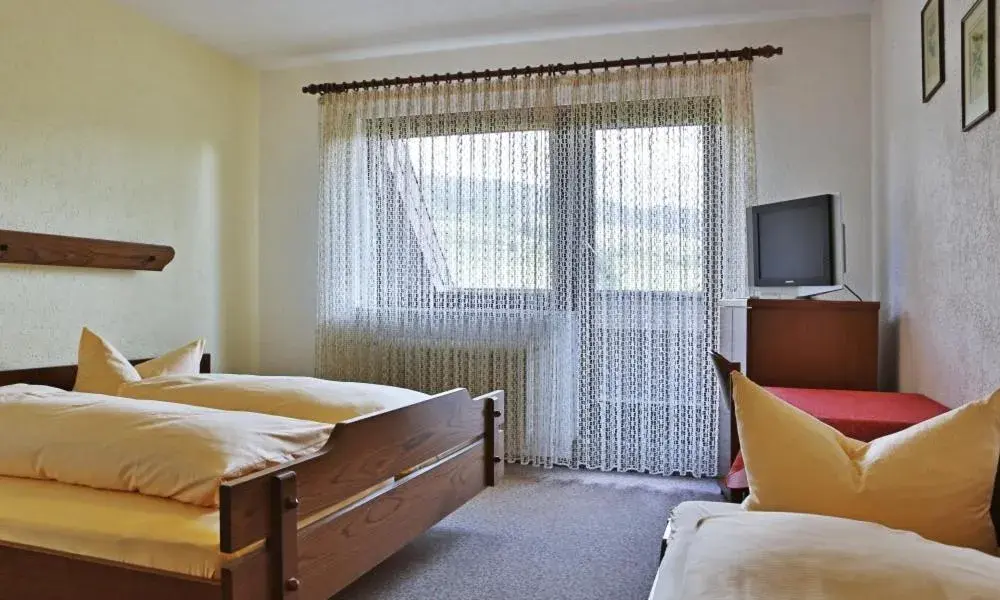 Basic Triple Room in Grüner Hof Basic Triple Room in Grüner Hof