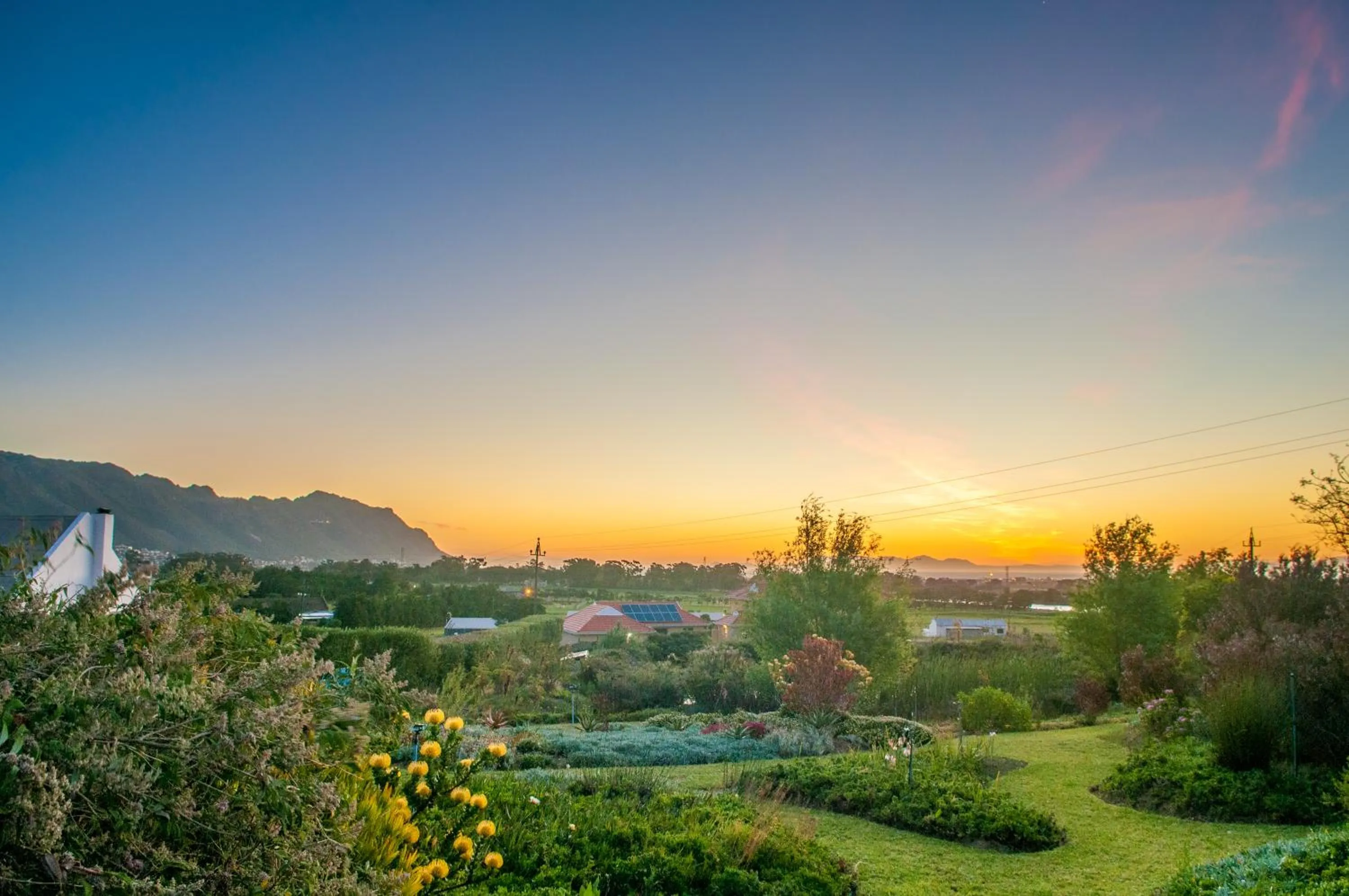 Garden in Wind-Rose Guest House