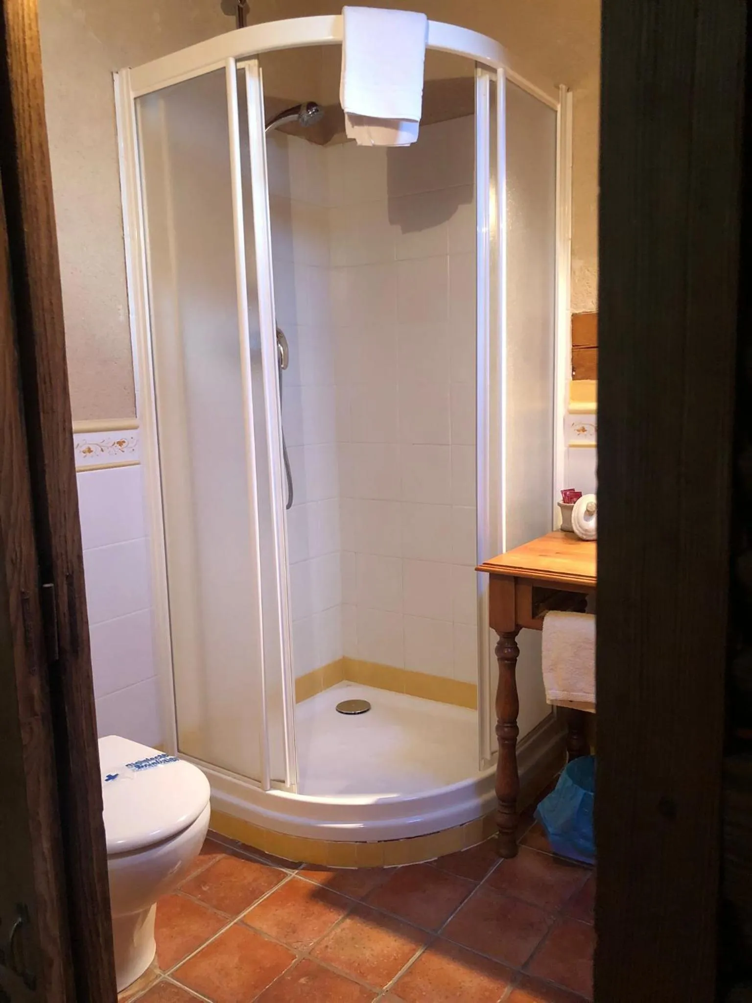 Shower in Apartamentos Lobiche