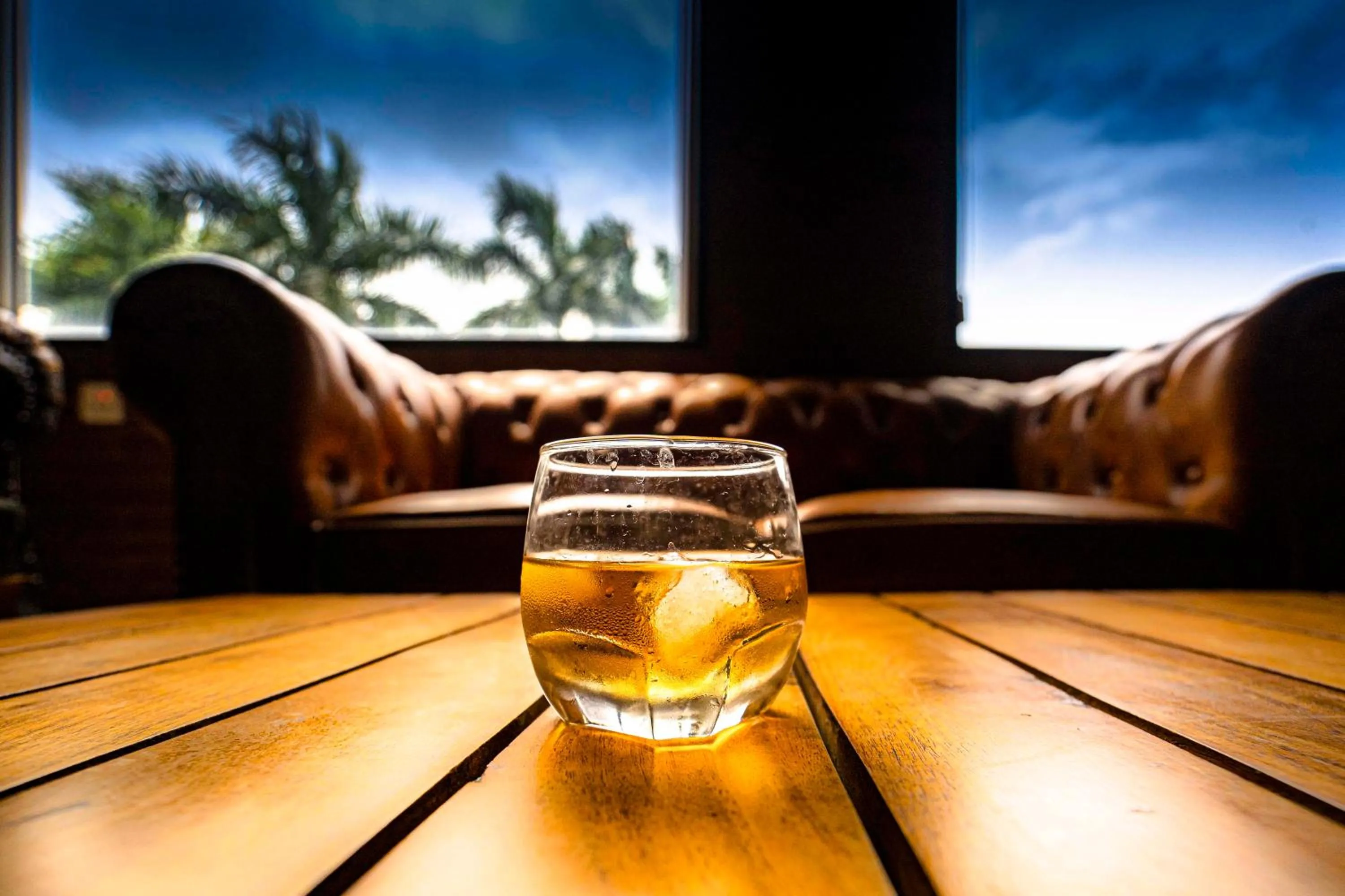 Lounge or bar in Hotel Chandrawati Palace