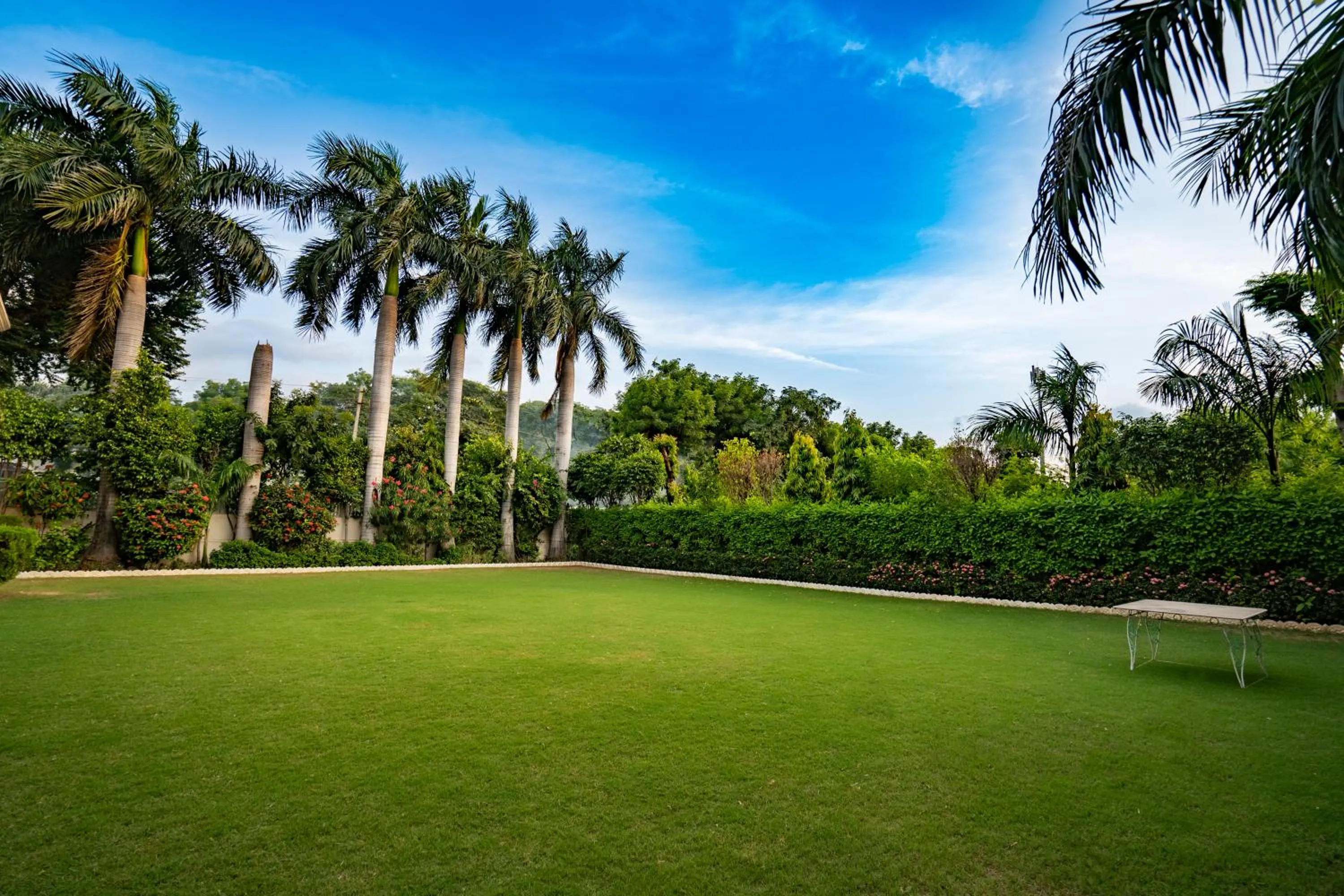 Garden in Hotel Chandrawati Palace