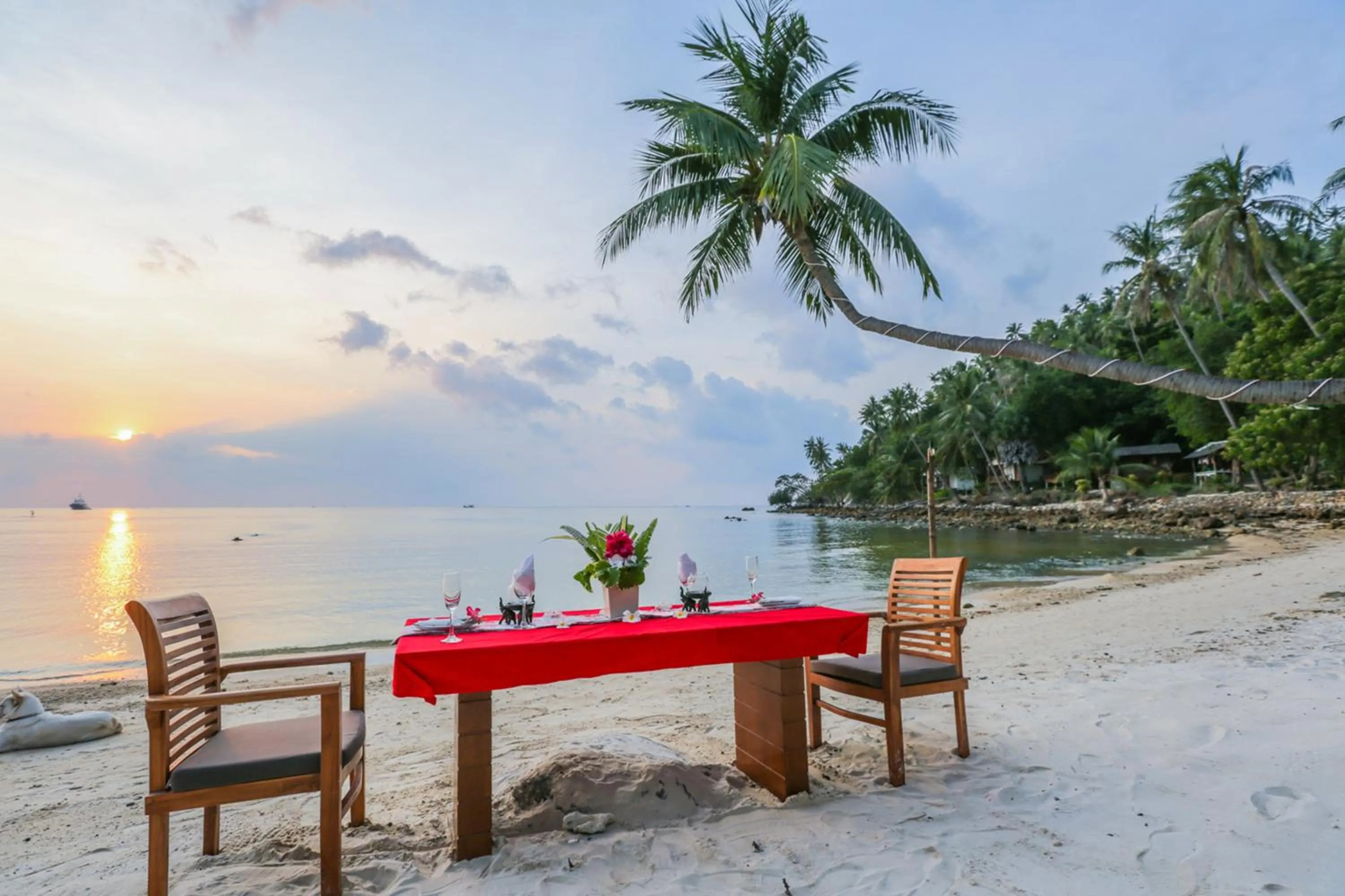 Beach in Villa Cha-Cha Salad Beach Koh Phangan