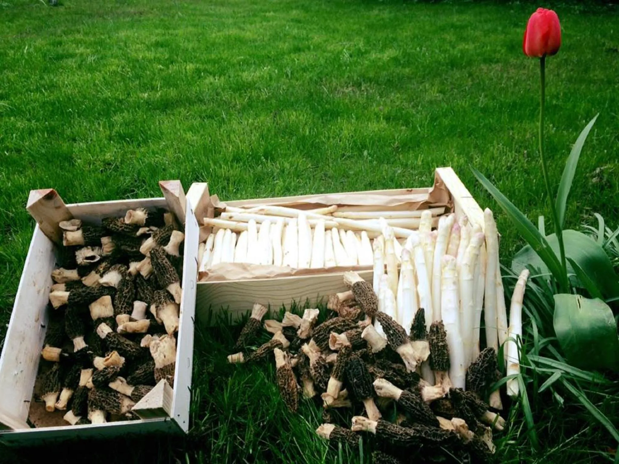 View (from property/room) in Logis Hôtel-Restaurant du Herrenstein