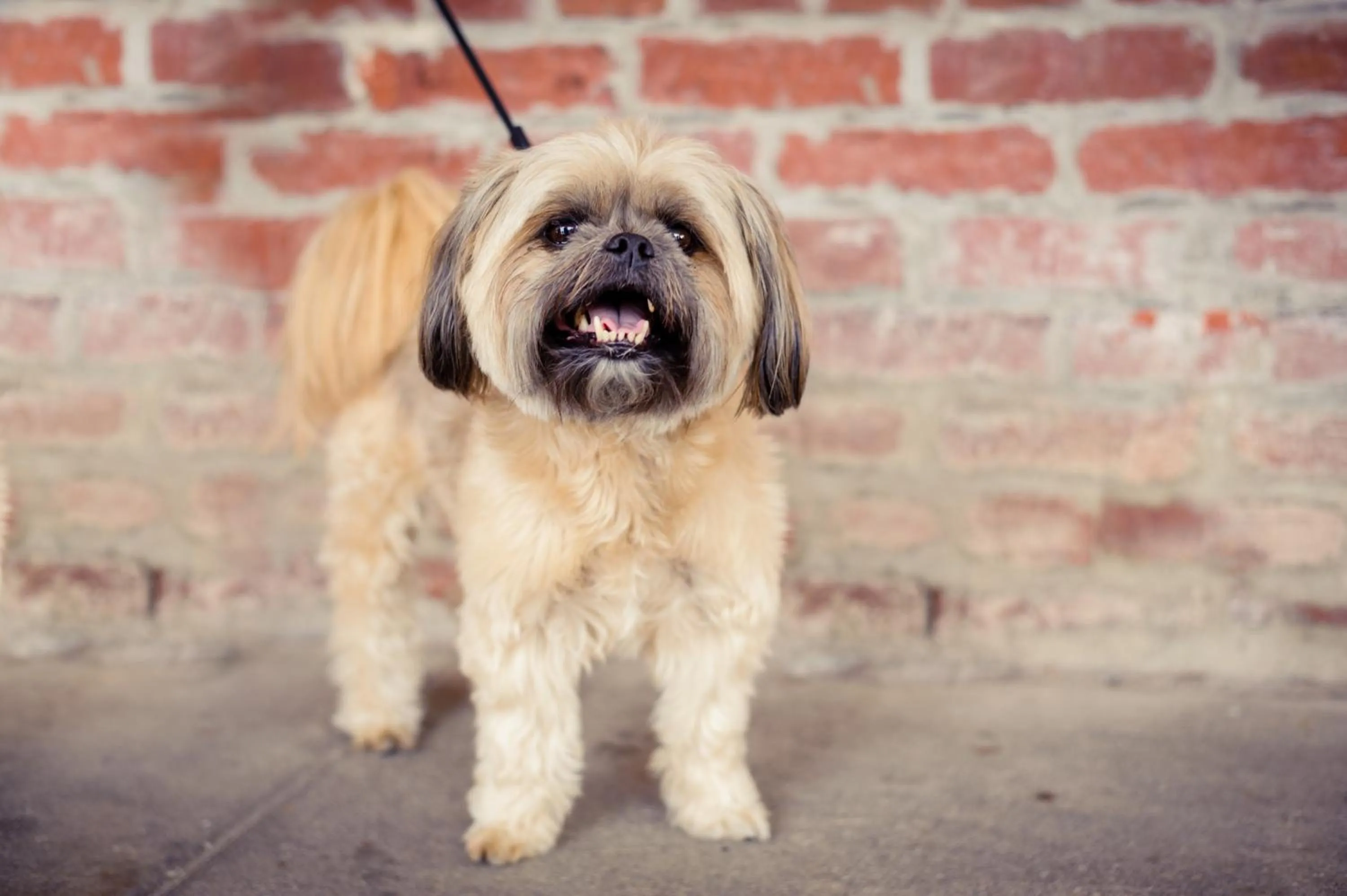 Other in Napa River Inn