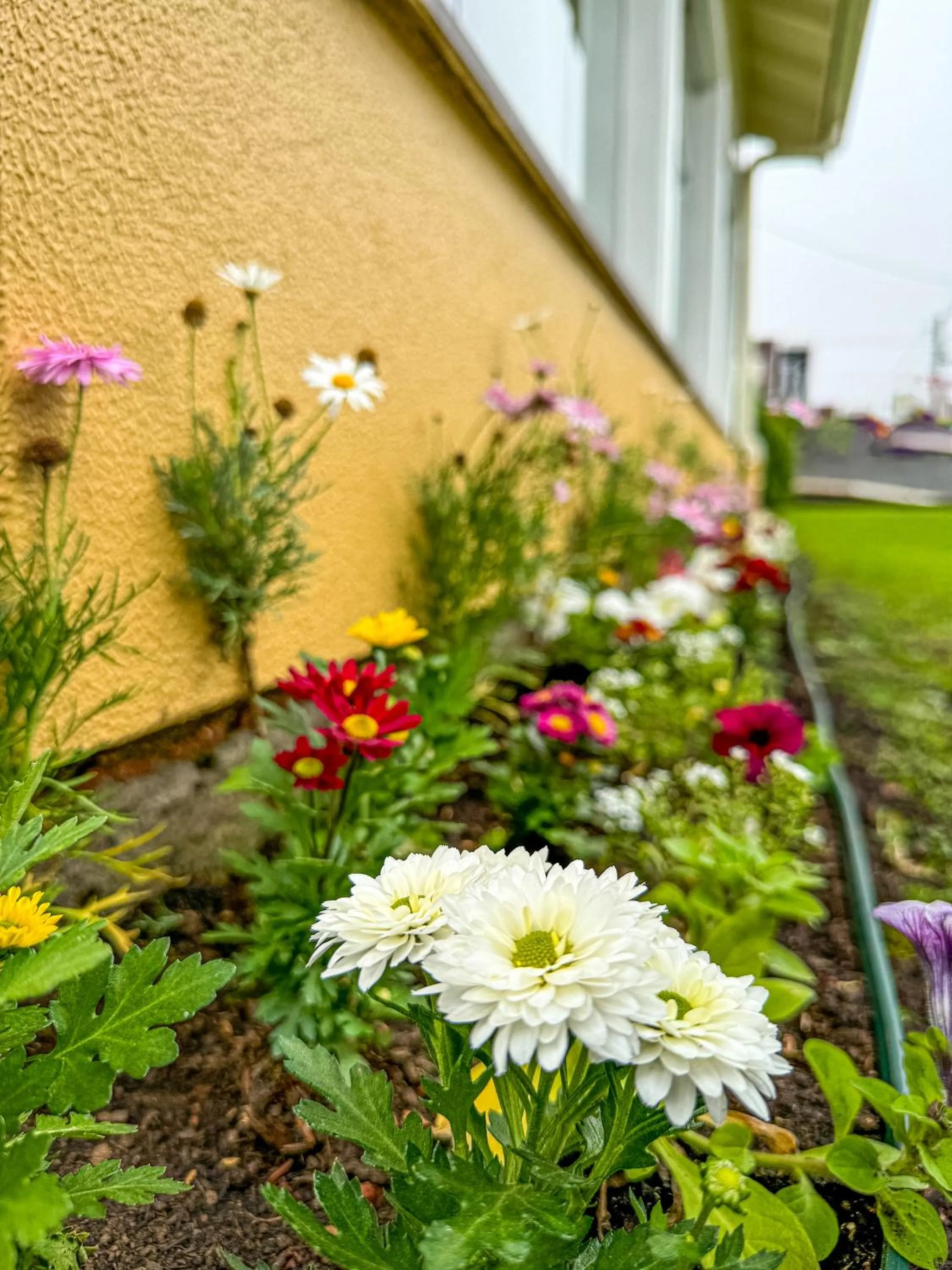 Garden in Pousada Serra Valle
