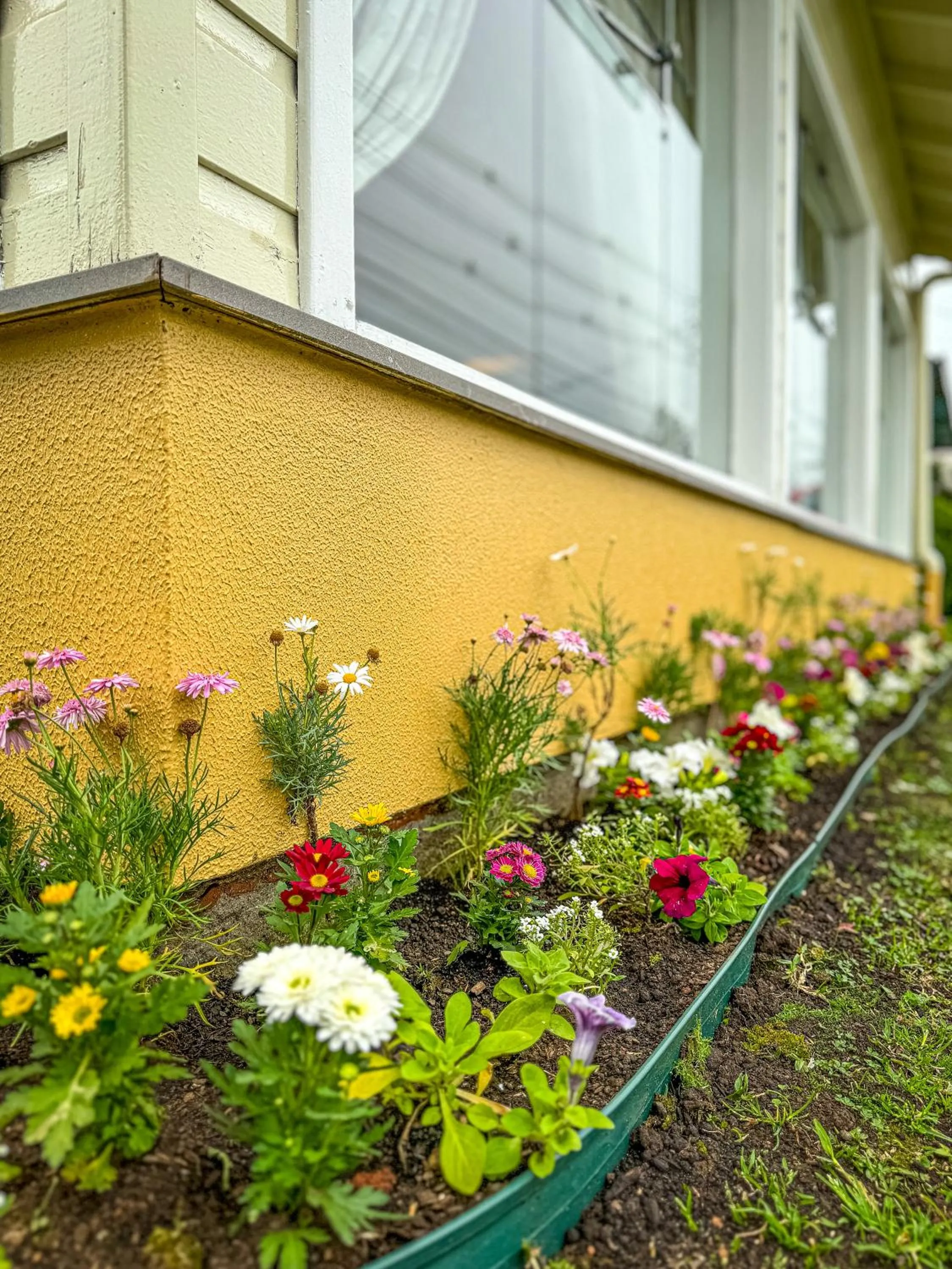 Garden in Pousada Serra Valle