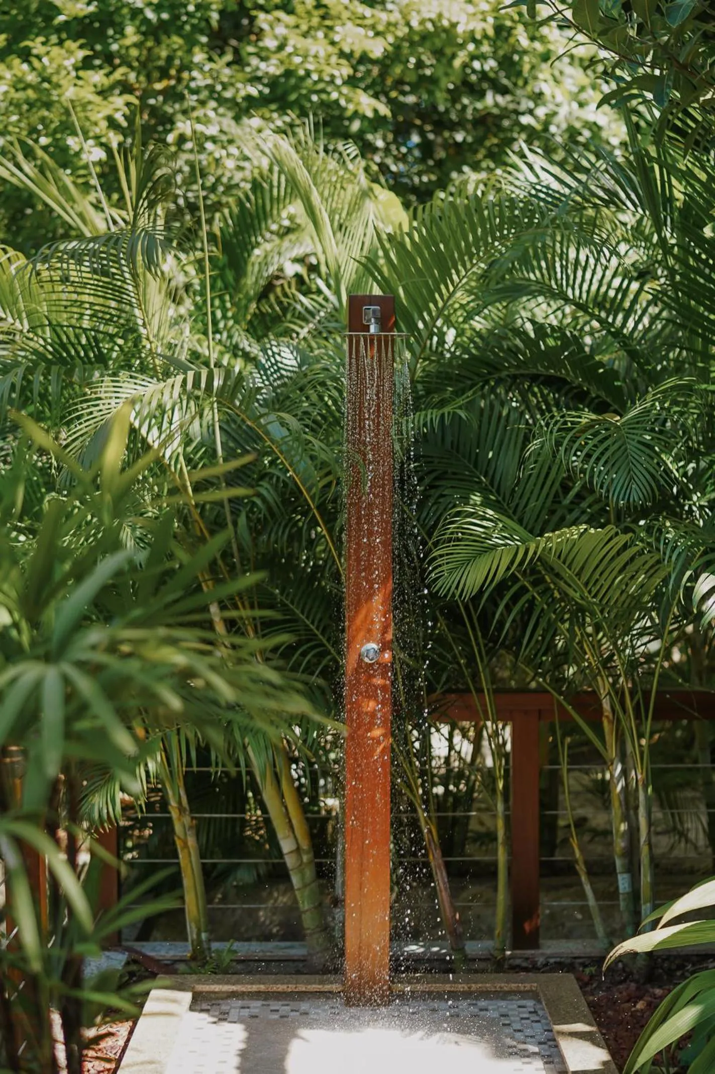 Garden in Passárgada Pousada