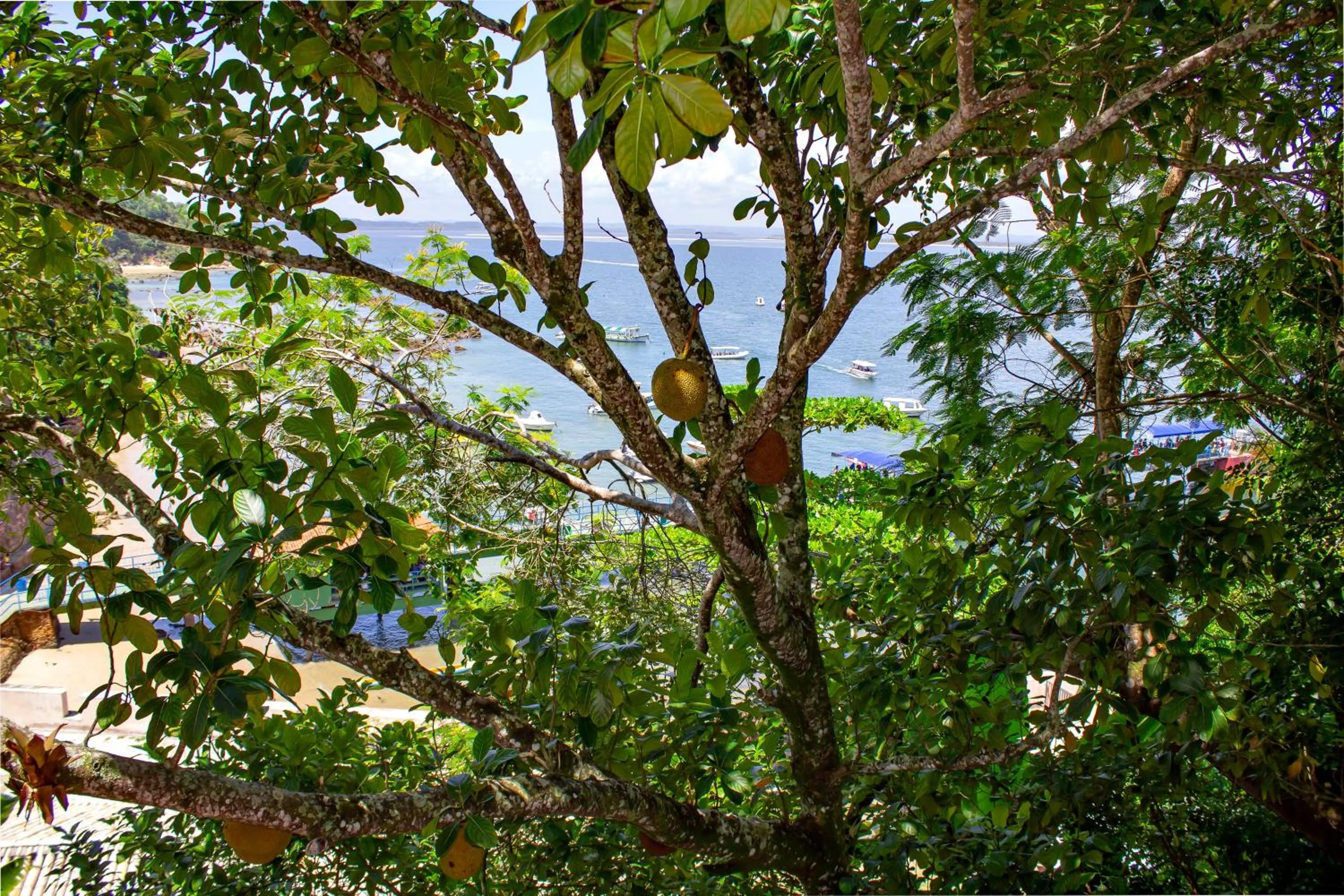 Garden in Passárgada Pousada