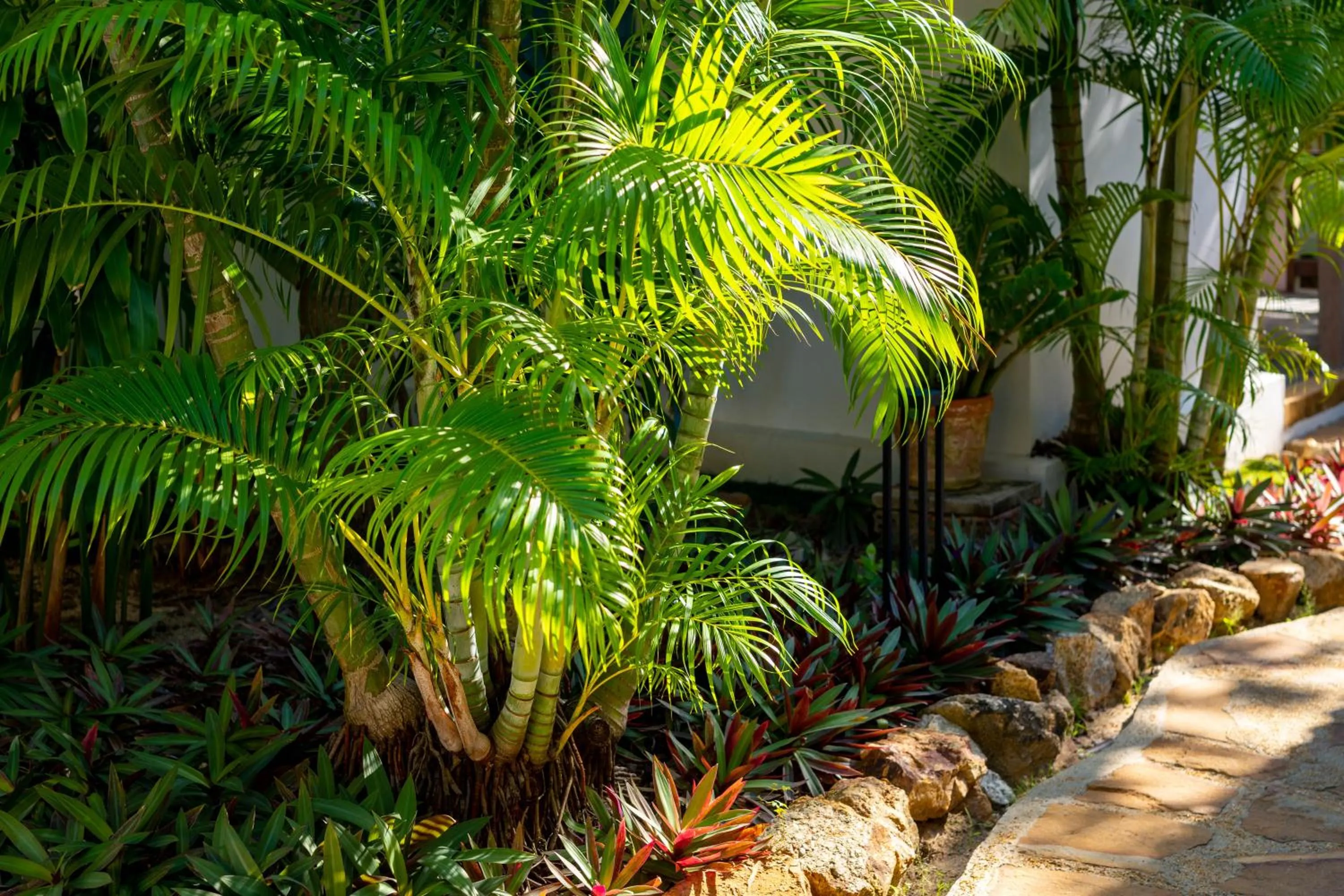 Garden view in Samui Natien Resort