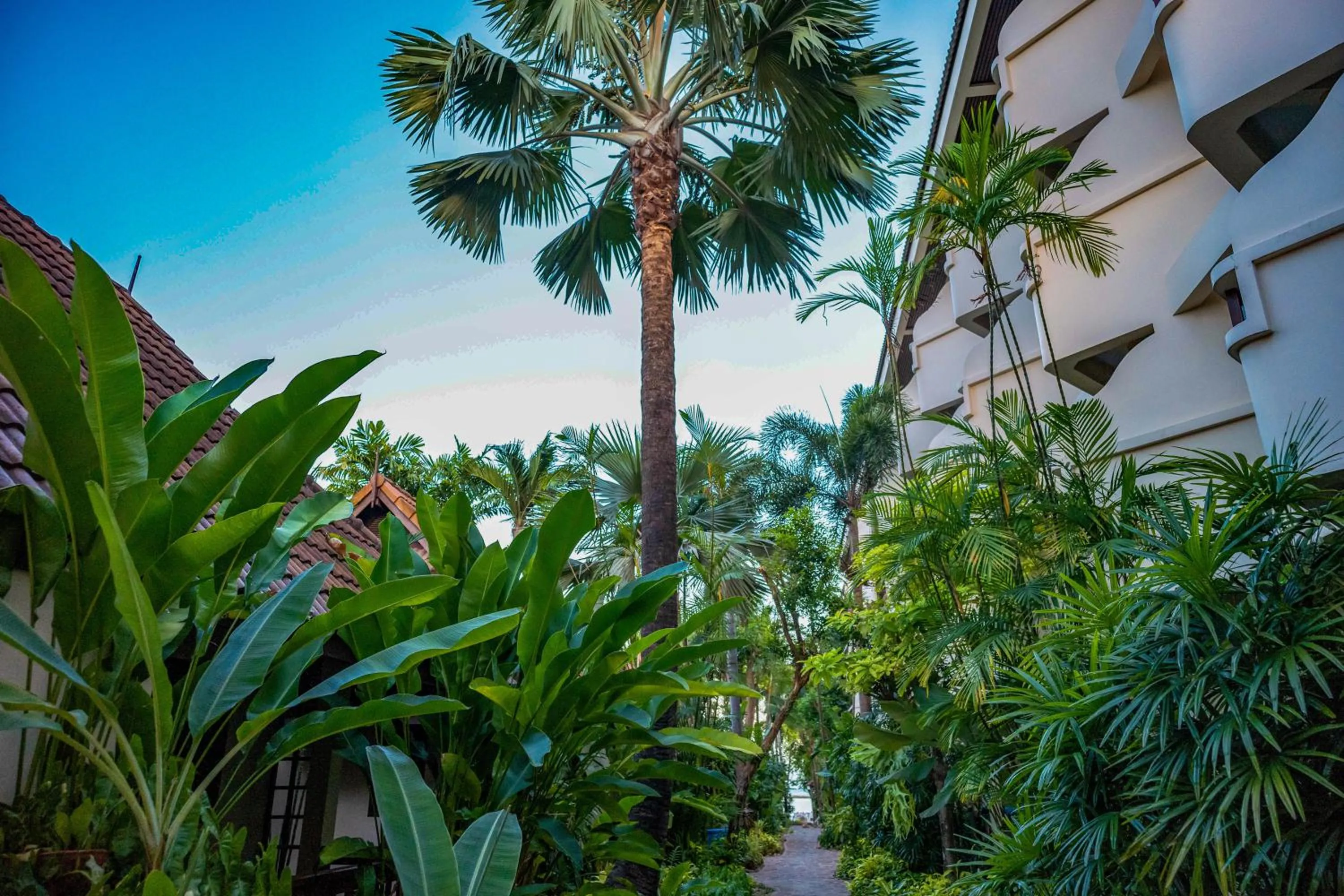 Property building in Samui Natien Resort