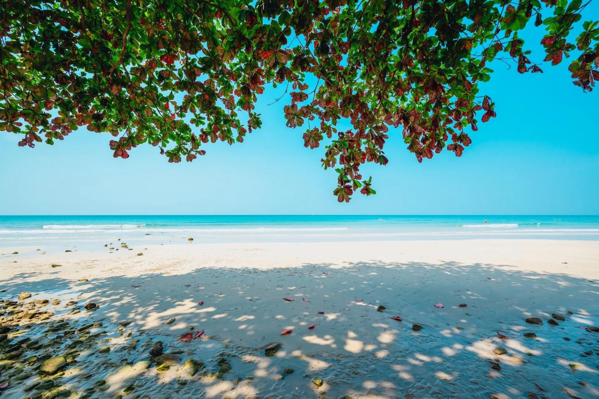 Beach in Kacha Resort & Spa, Koh Chang
