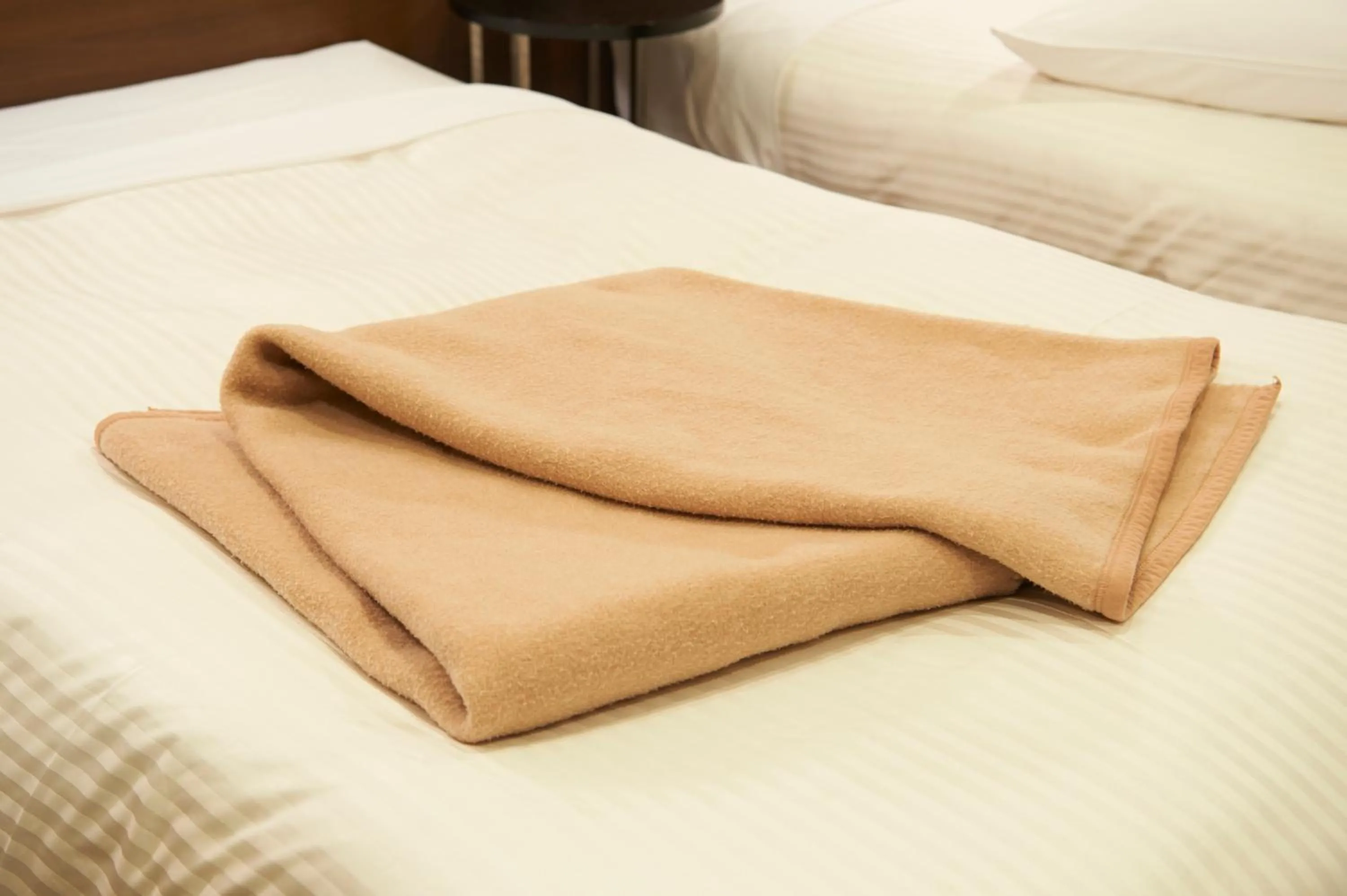 Other, Bed in Sotetsu Fresa Inn Ginza Sanchome