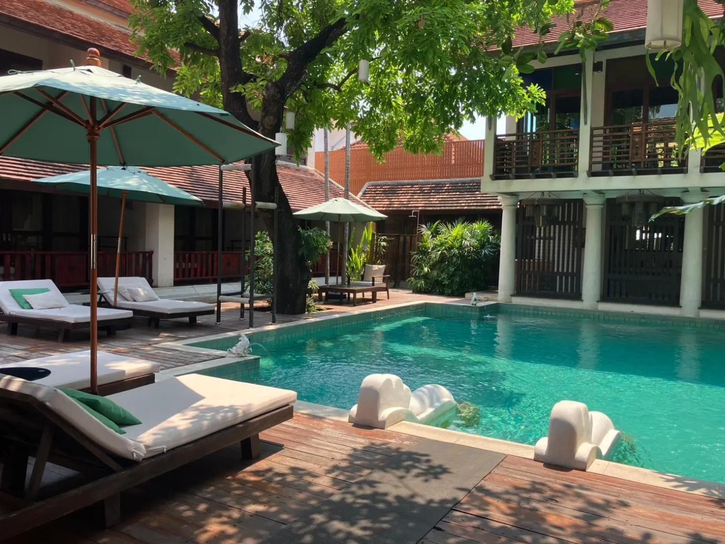 Swimming pool in The Rim Chiang Mai