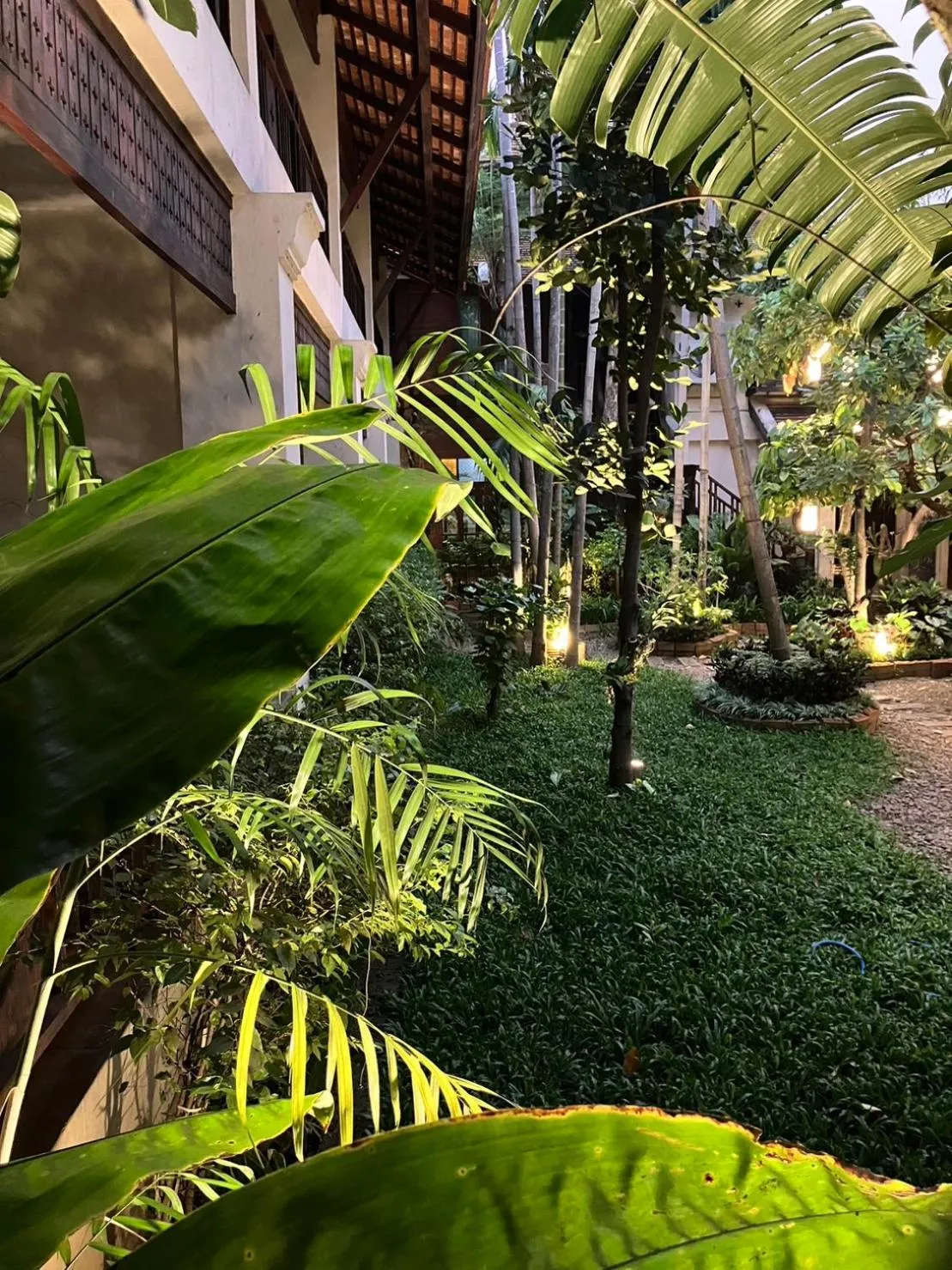 Garden view in The Rim Chiang Mai