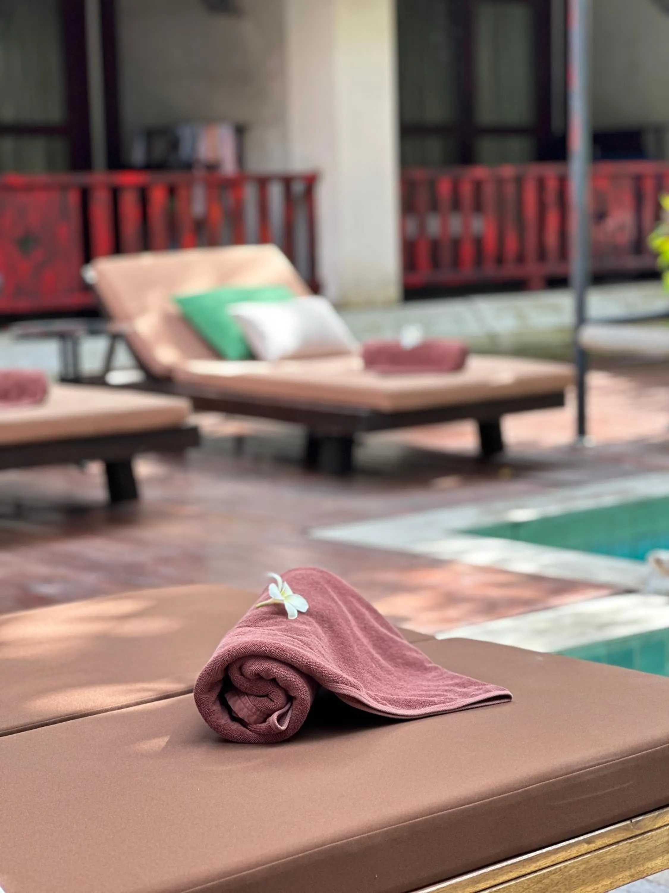 Swimming pool in The Rim Chiang Mai