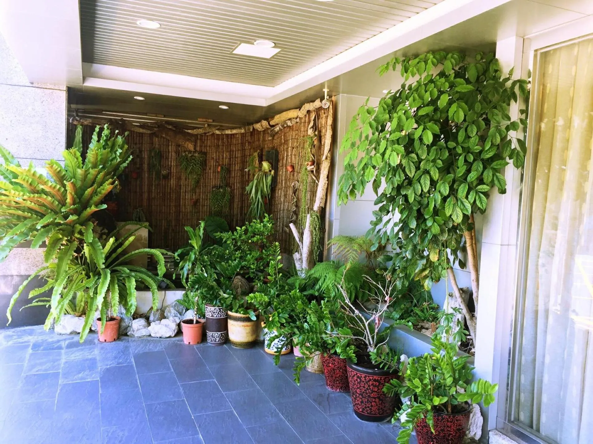 View (from property/room) in Metropolis Hotel