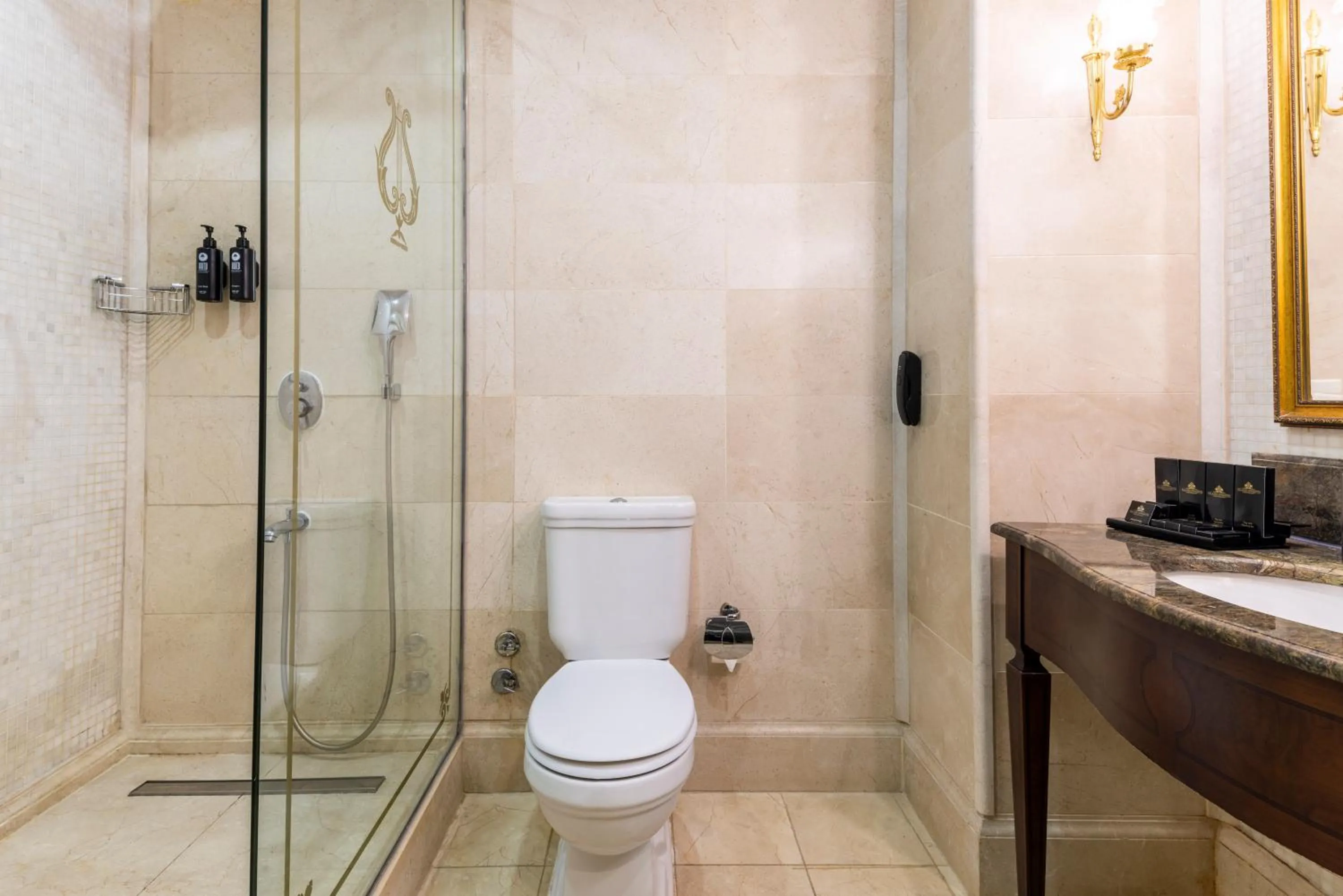 Toilet in Palazzo Donizetti Hotel - Special Class