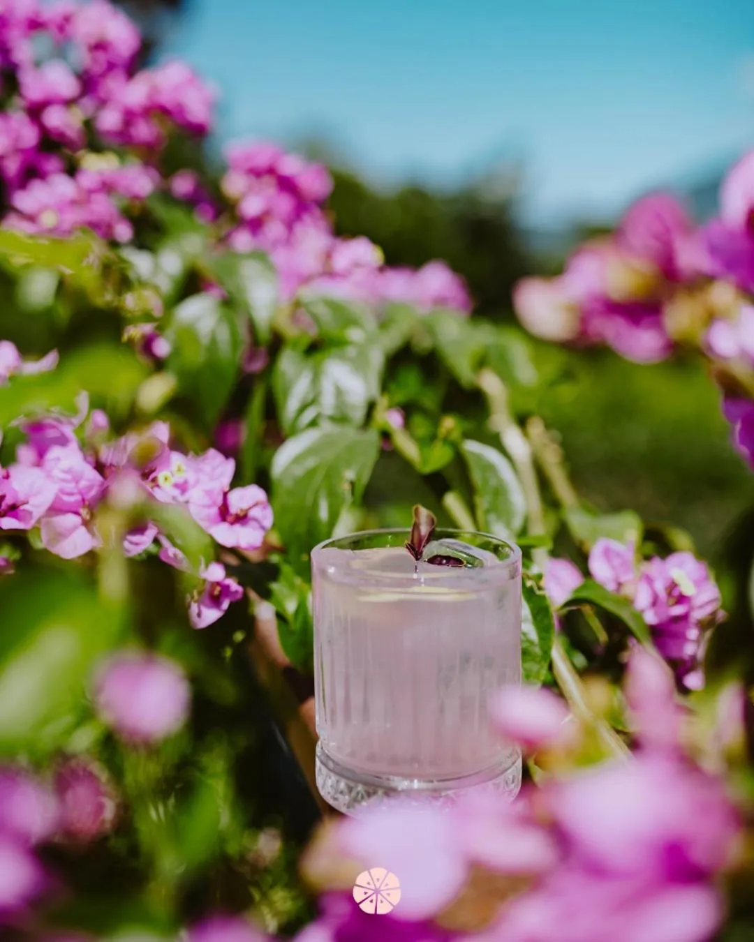 Restaurant/places to eat in Hotel Limone