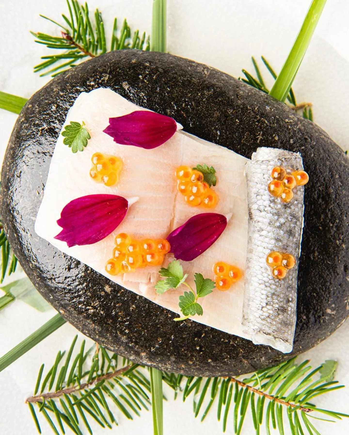 Dinner in Le Carré d'Alethius Logis Hôtel-Restaurant Gastronomique