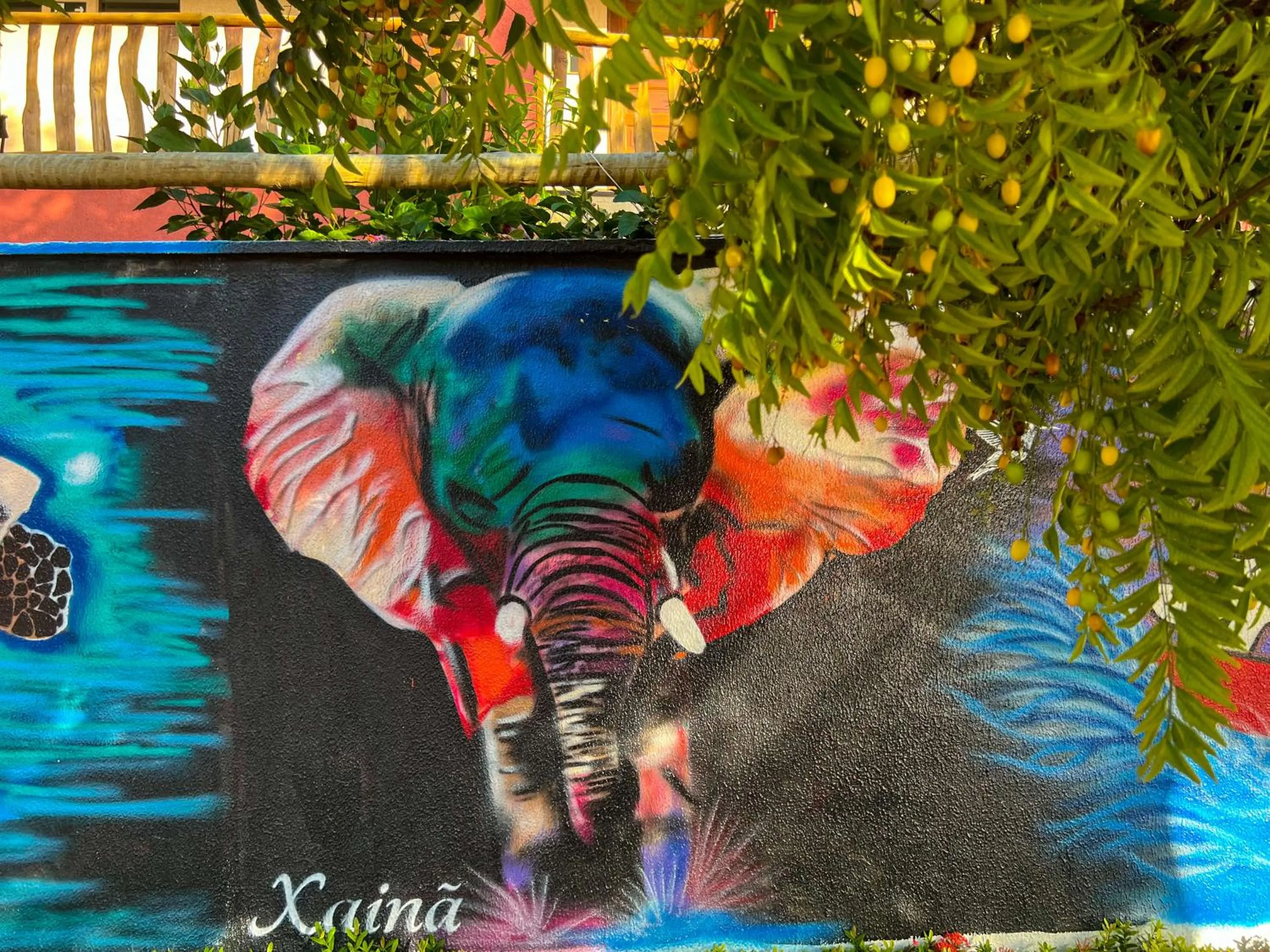 Day in Xainã Pousada de Charme