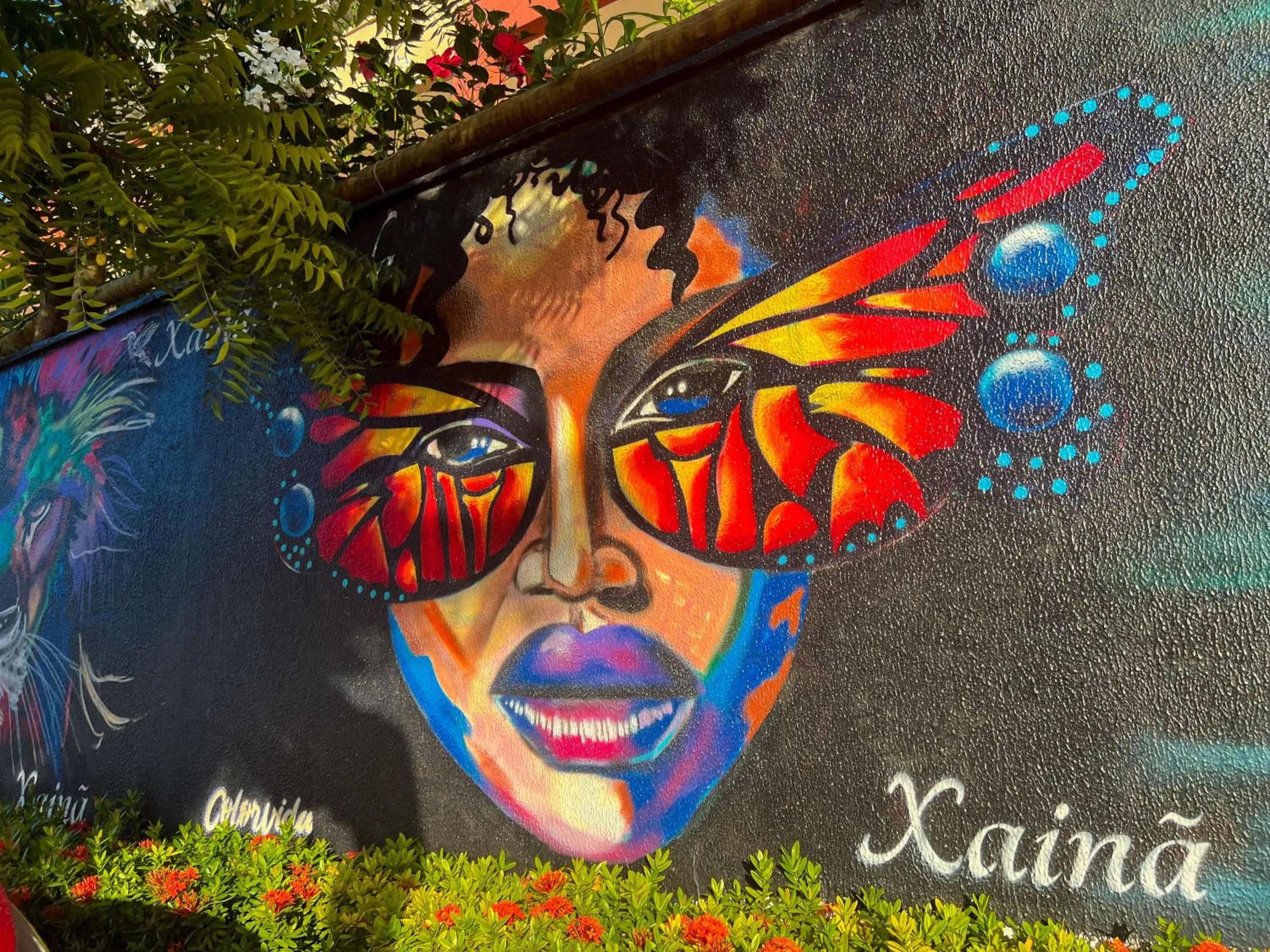 Day in Xainã Pousada de Charme