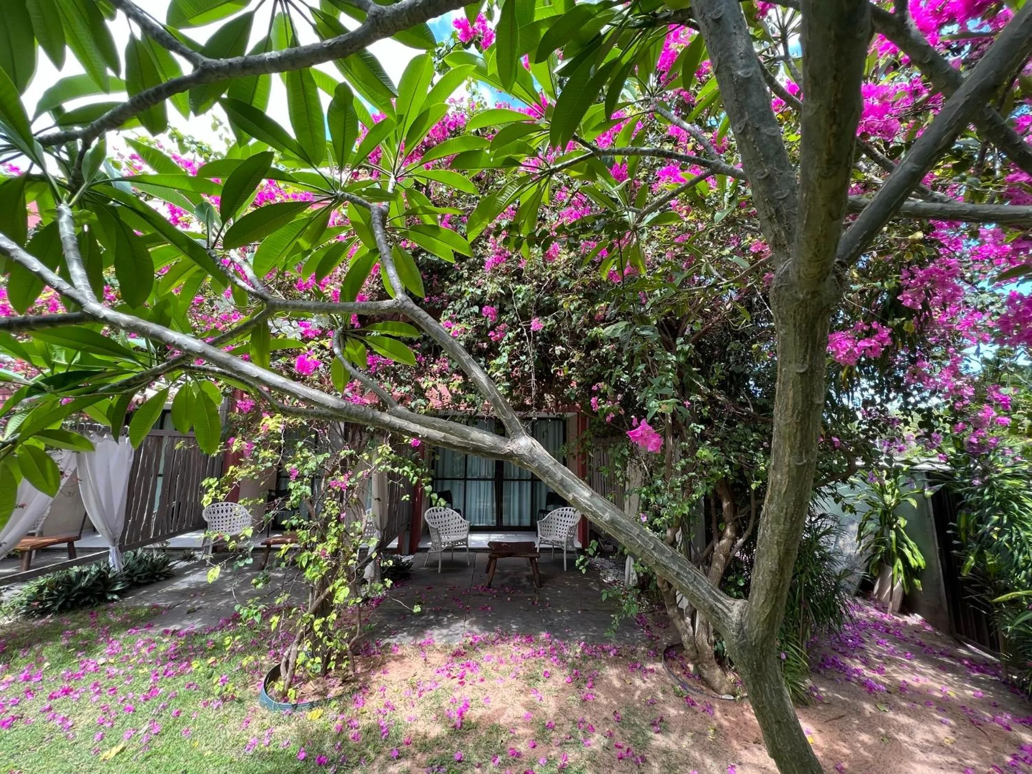 Spring in Xainã Pousada de Charme