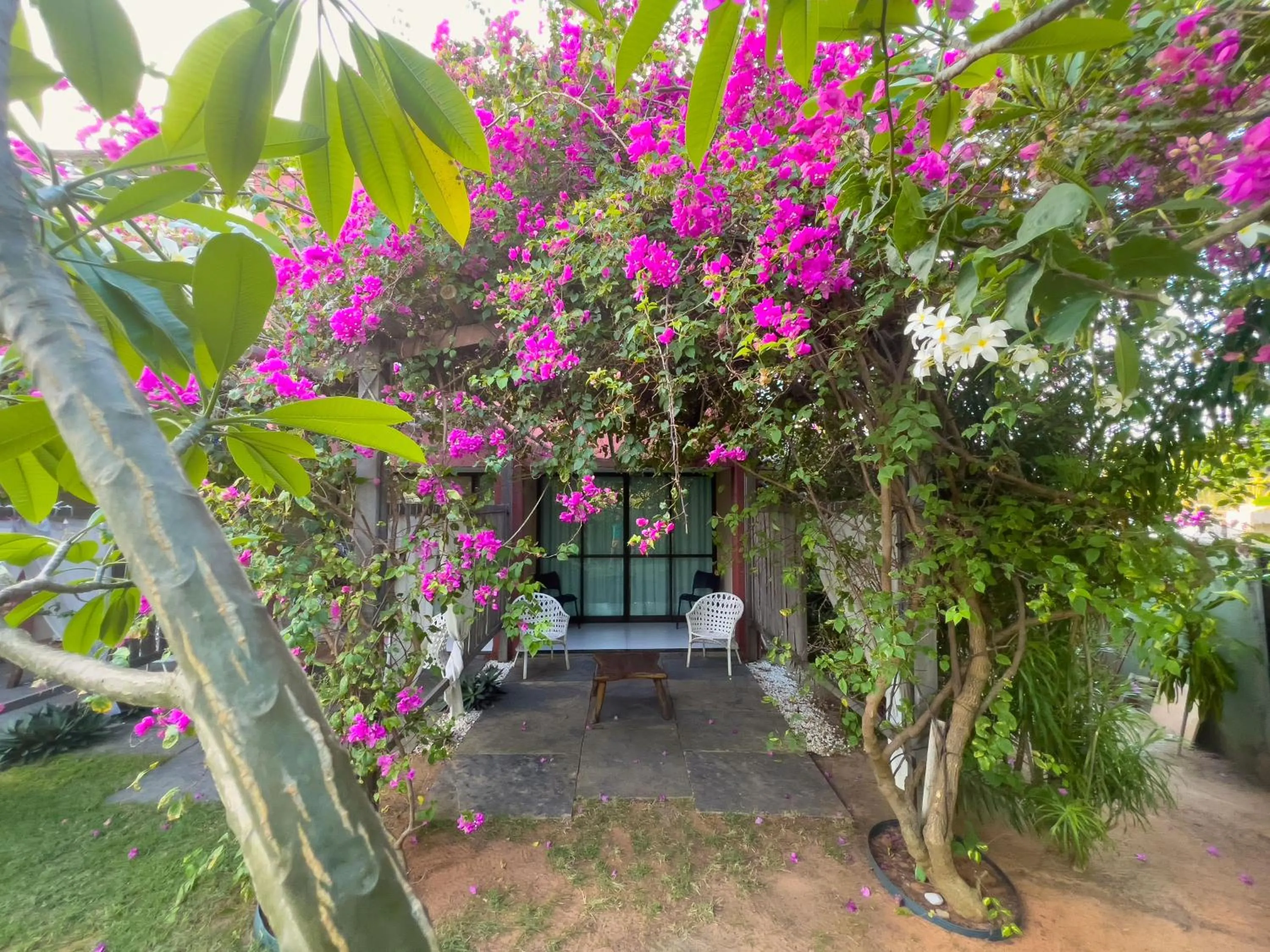 Garden in Xainã Pousada de Charme