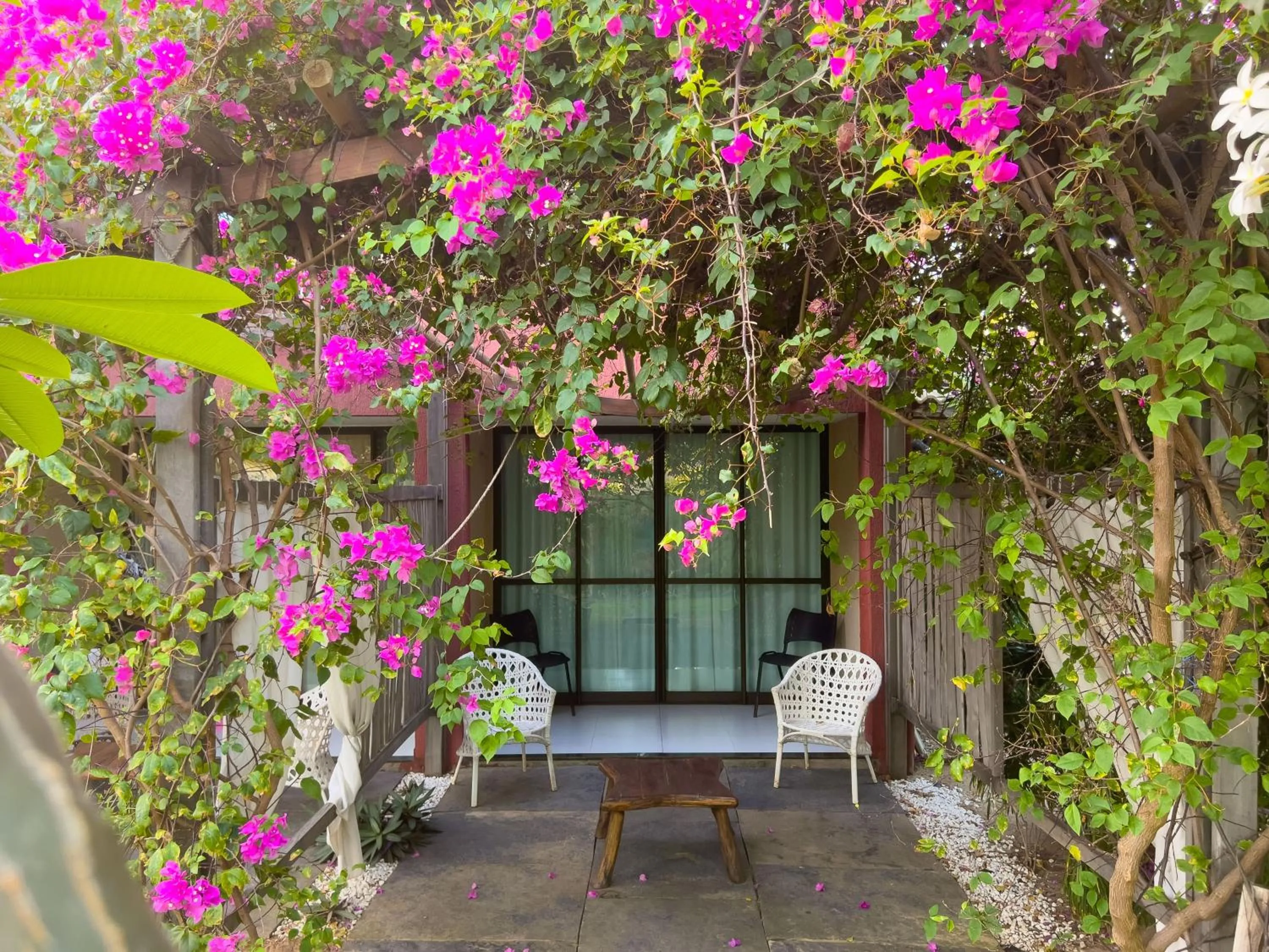 Garden in Xainã Pousada de Charme