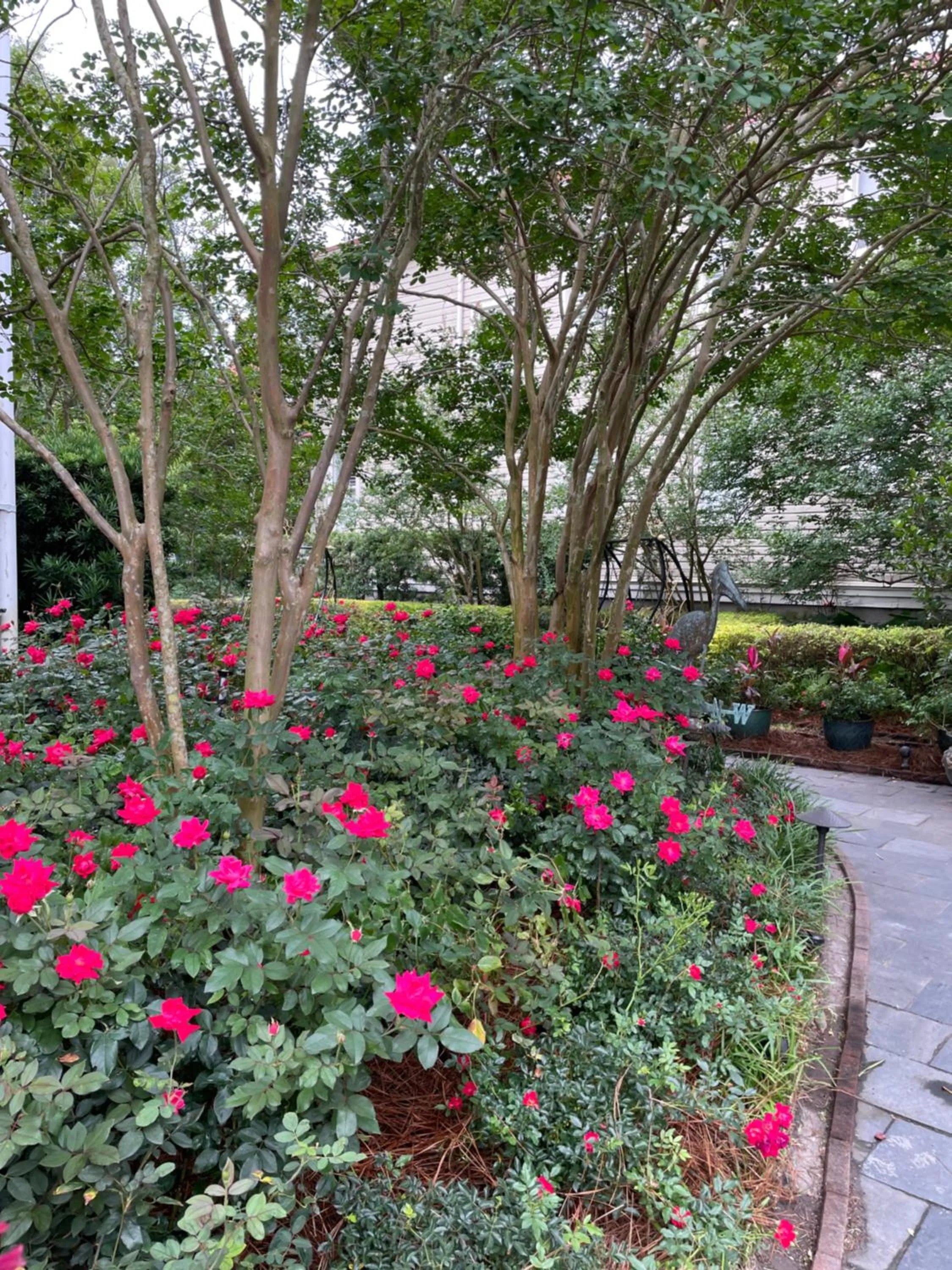 Decorative detail in 22 Charlotte