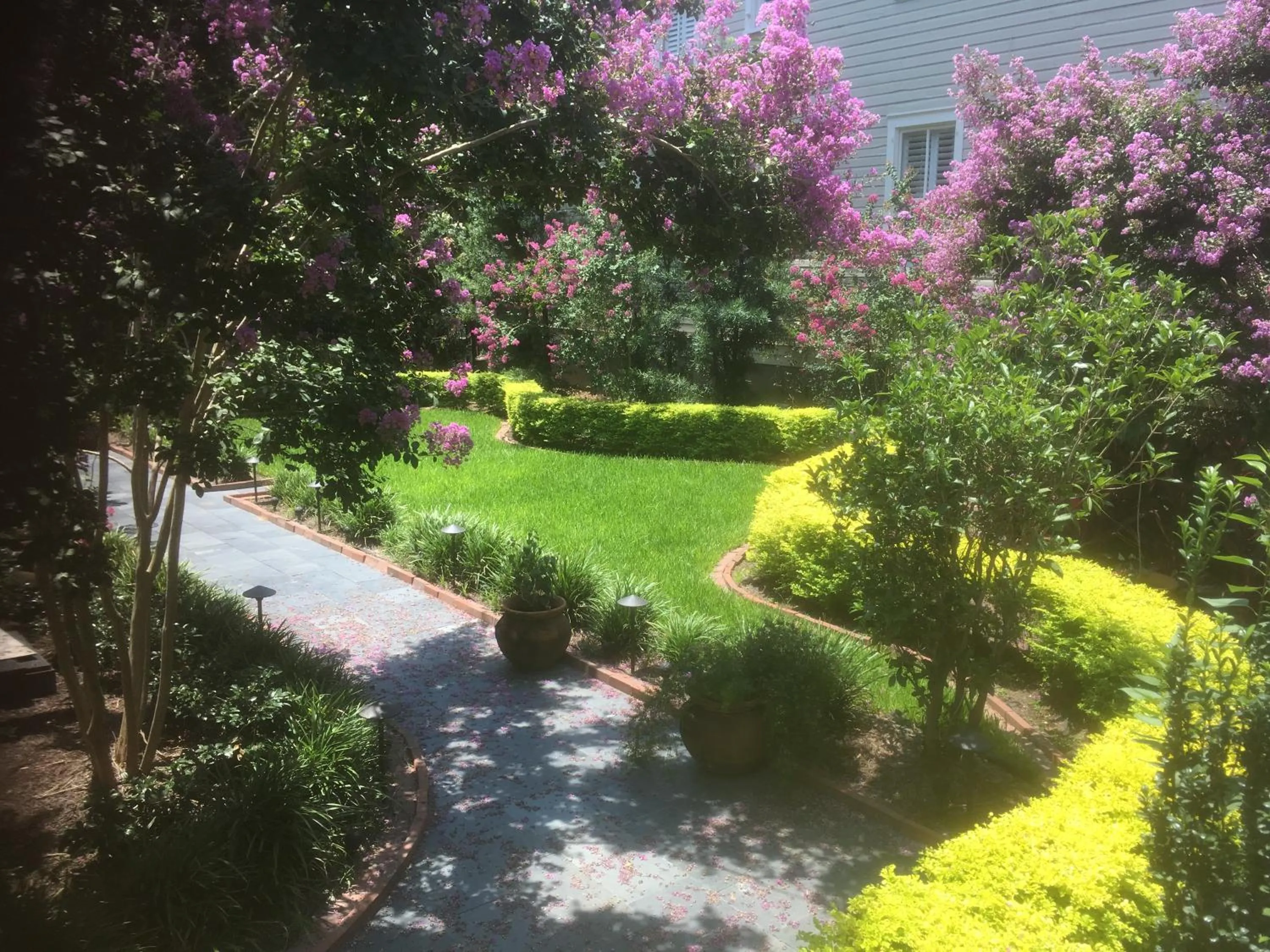 Garden in 22 Charlotte