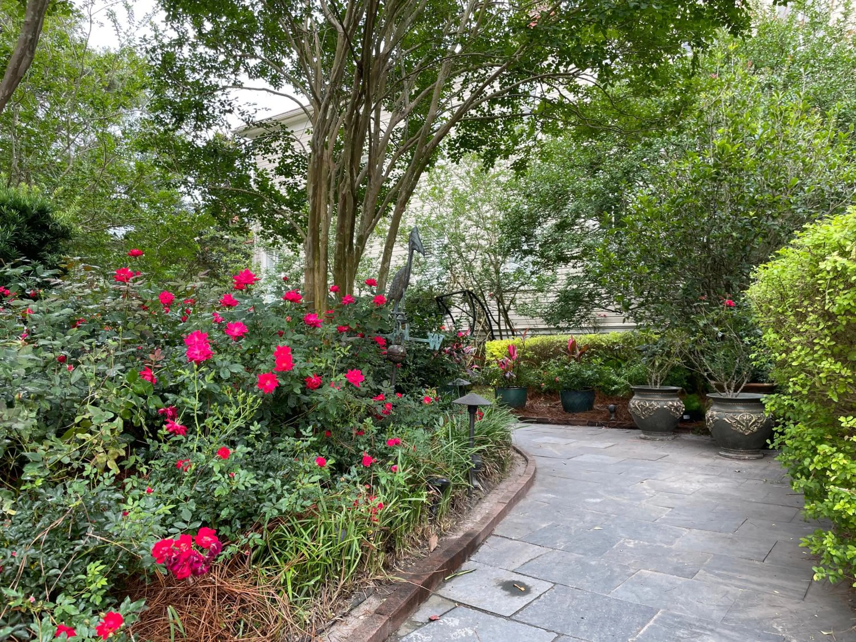 Garden in 22 Charlotte