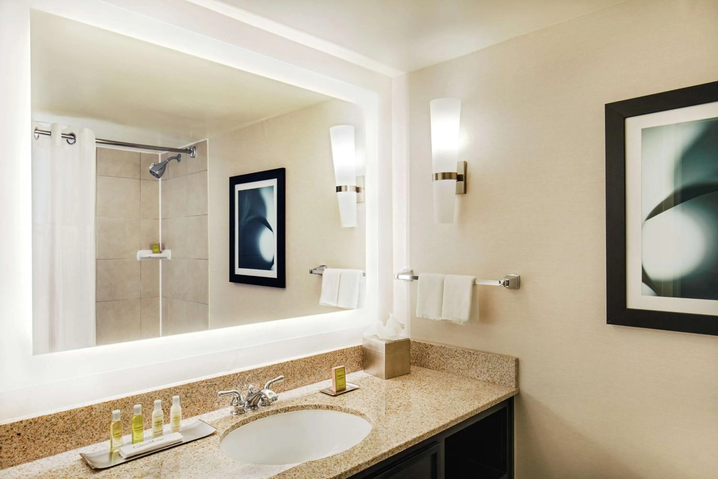 Bathroom in DoubleTree by Hilton Columbia