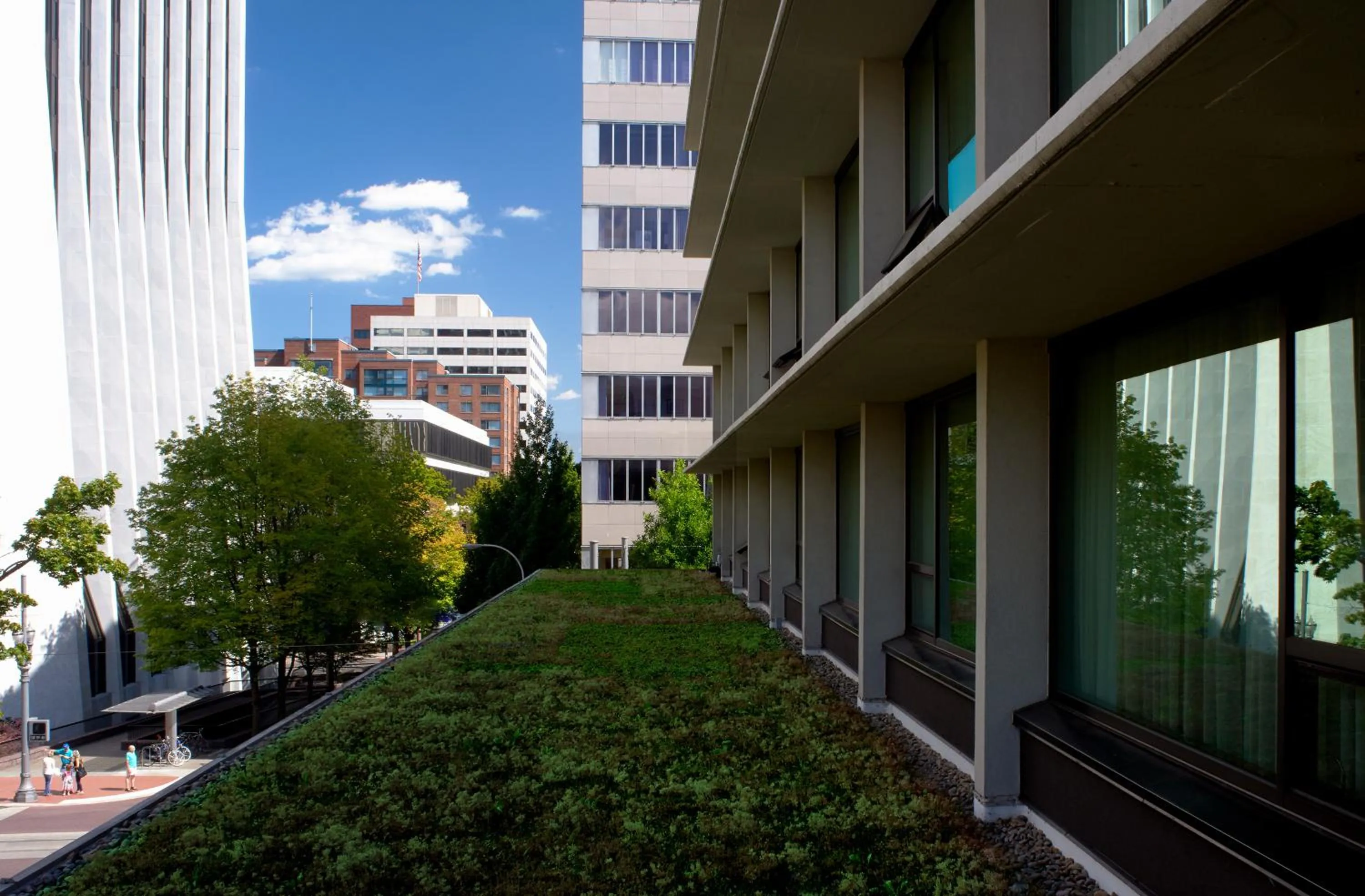 Garden in The Hotel Zags Portland
