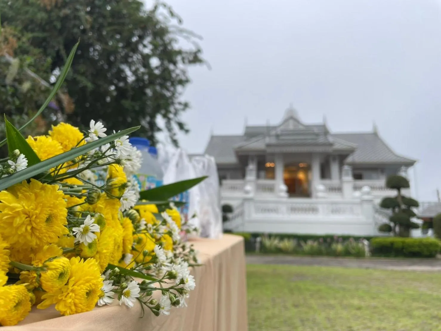 Property building in NirvaNAN House